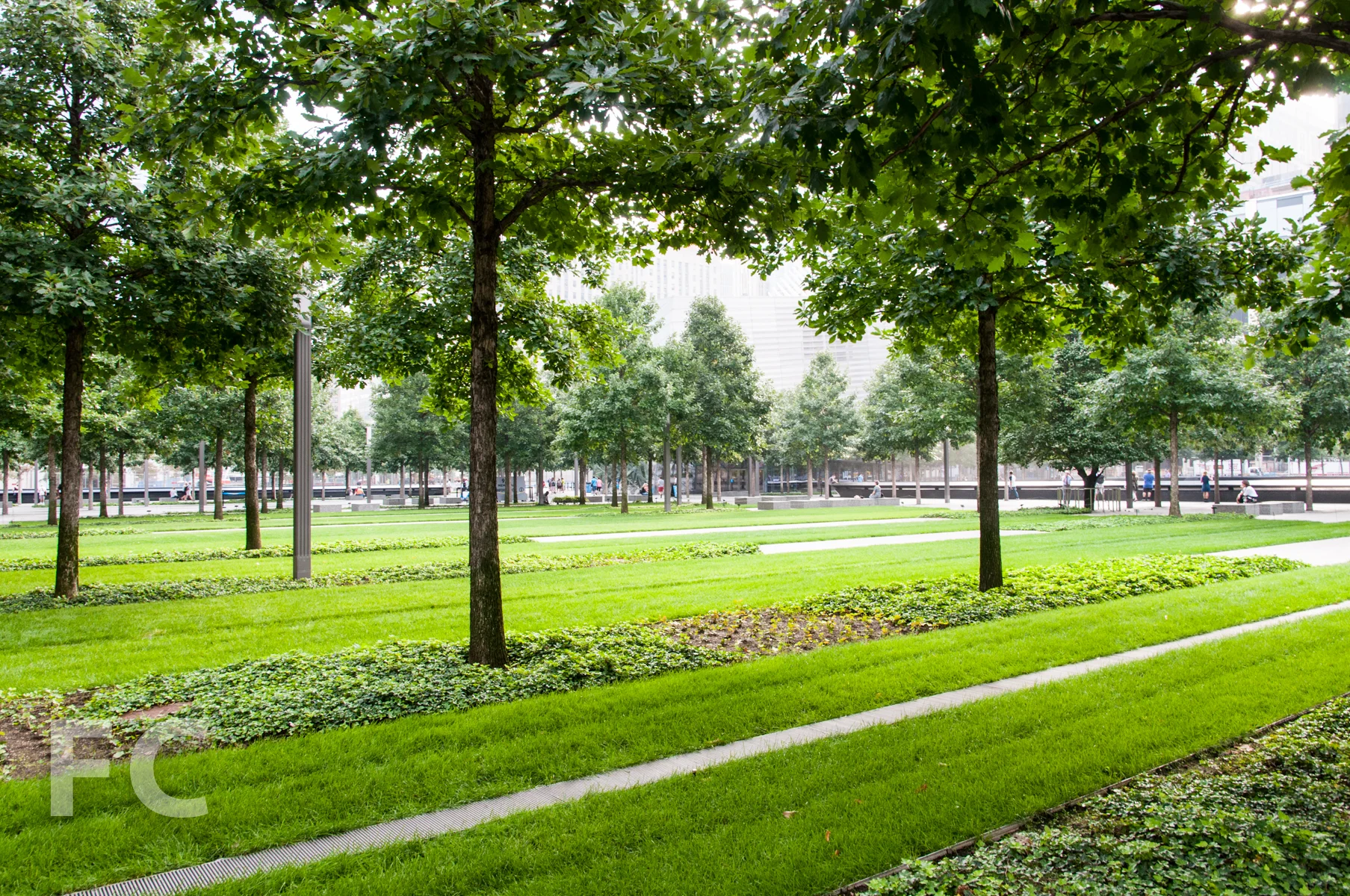 Looking east towards the pools from the Memorial Plaza.