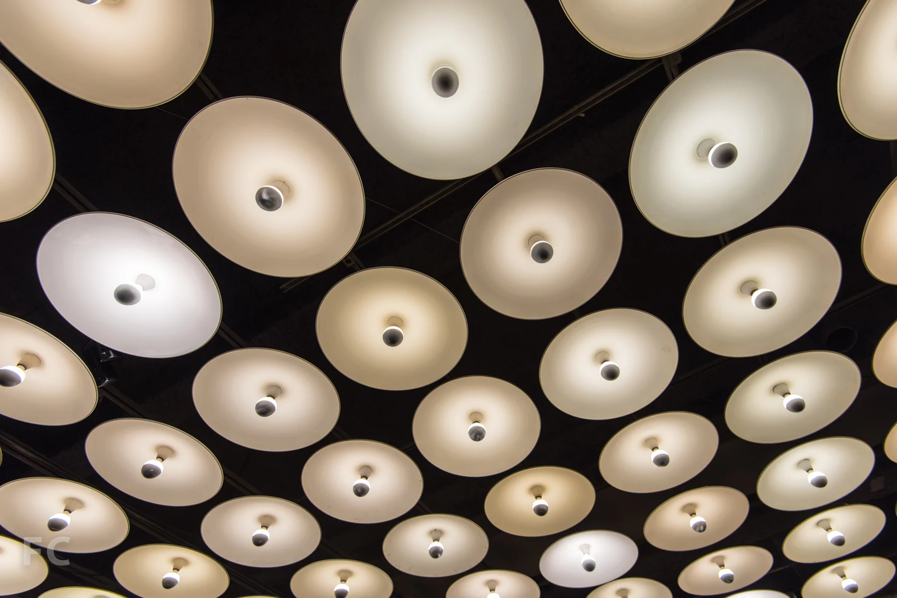 Grid of lighting fixtures in the lobby.