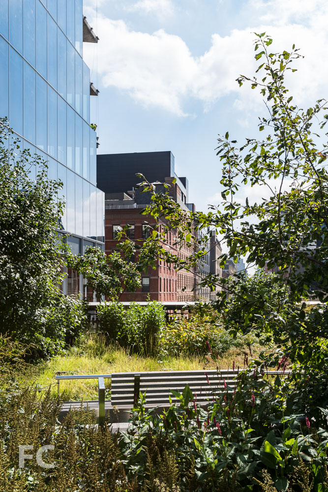 South facade from the High Line.