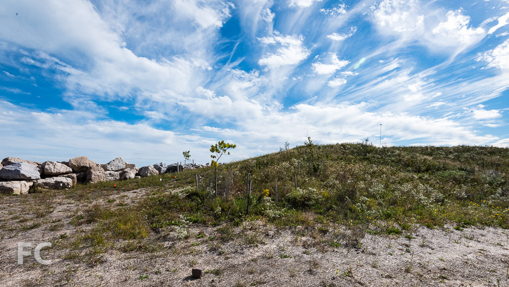 Northerly Island Park