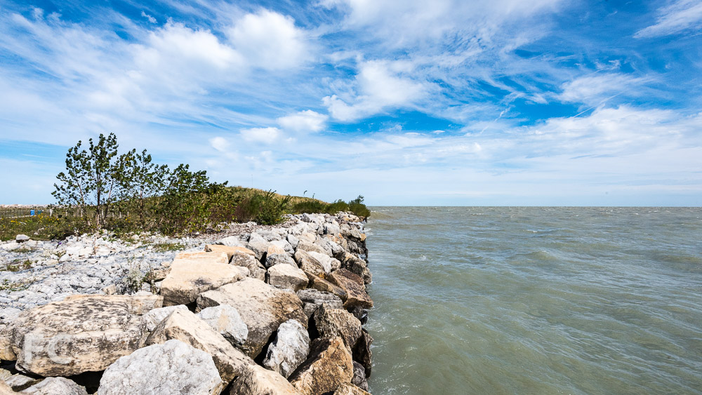 Northerly Island Park