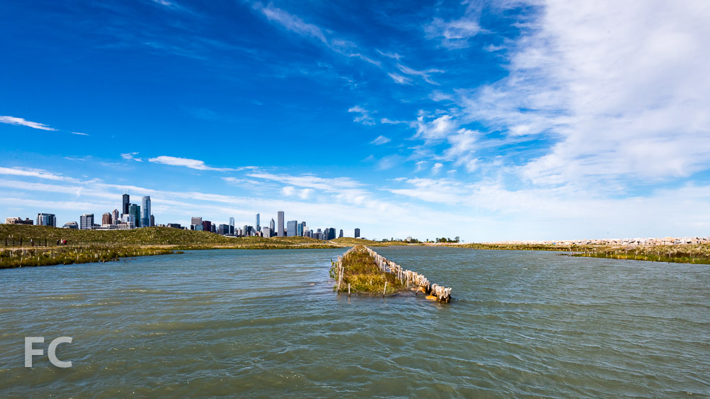 Northerly Island Park