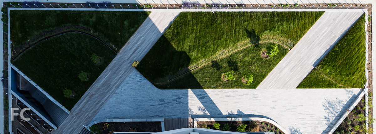 Looking down on the rooftop garden from a hotel room balcony.