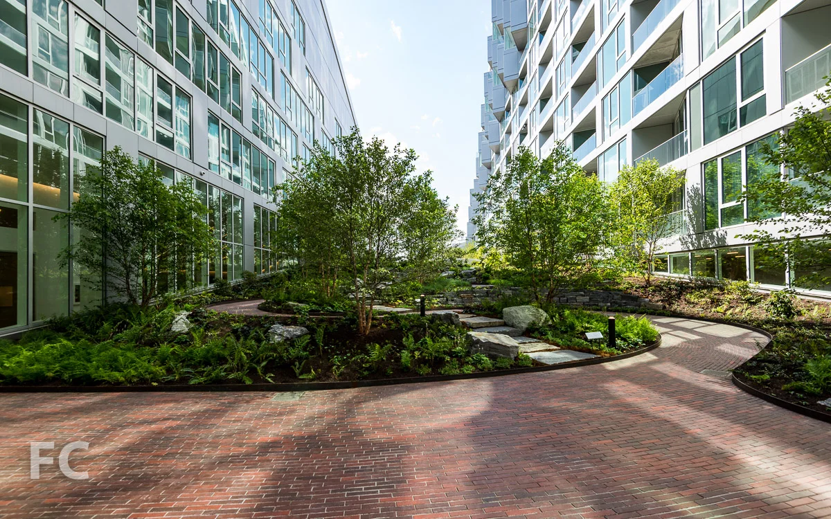 Looking west from the courtyard entrance.
