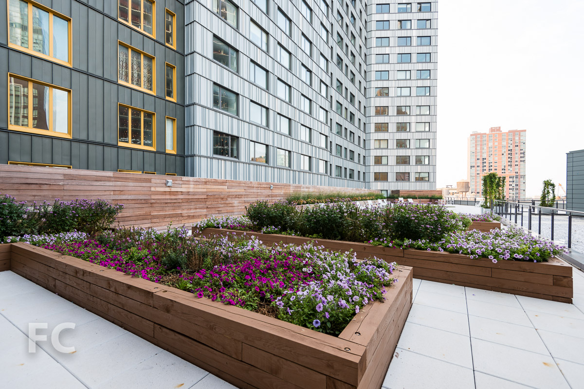 Lower residential terrace.
