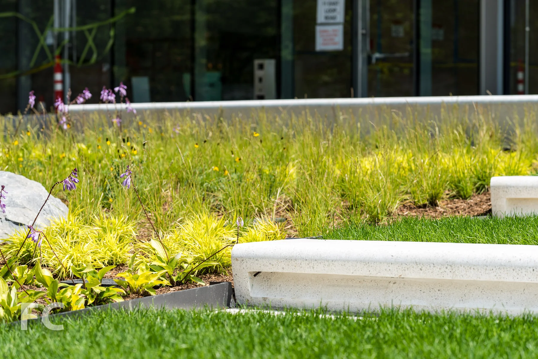 2017_08_20-Cornell Tech-58.jpg