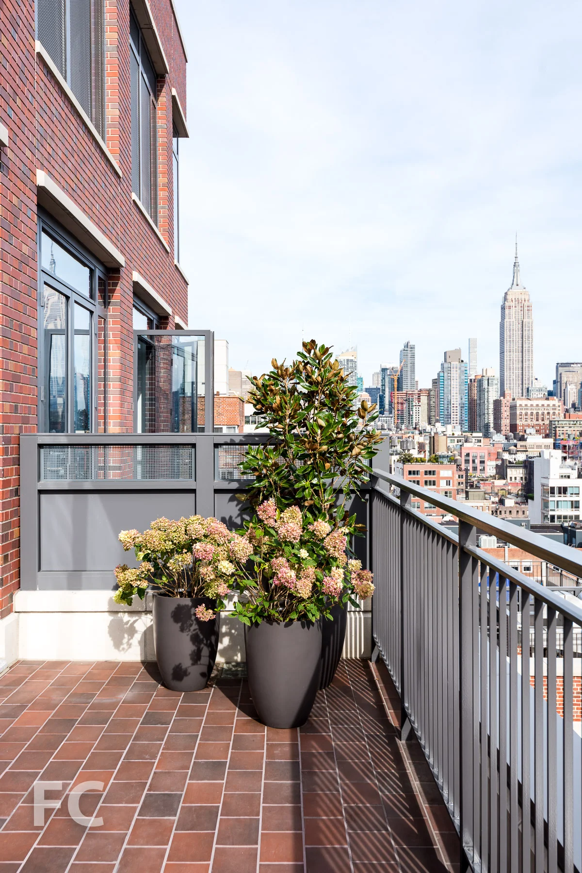 Midtown skyline view from the terrace.