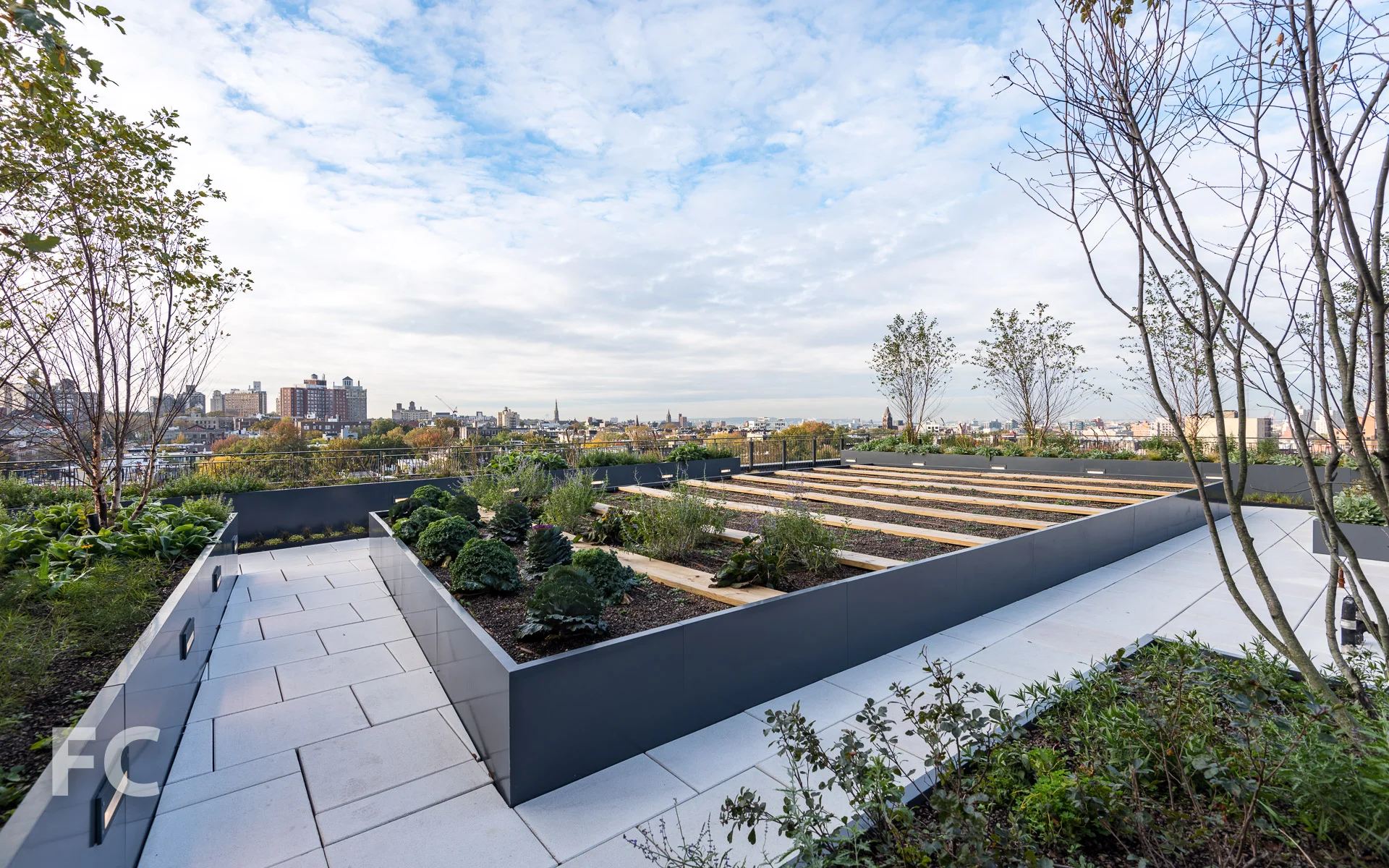 Rooftop garden.