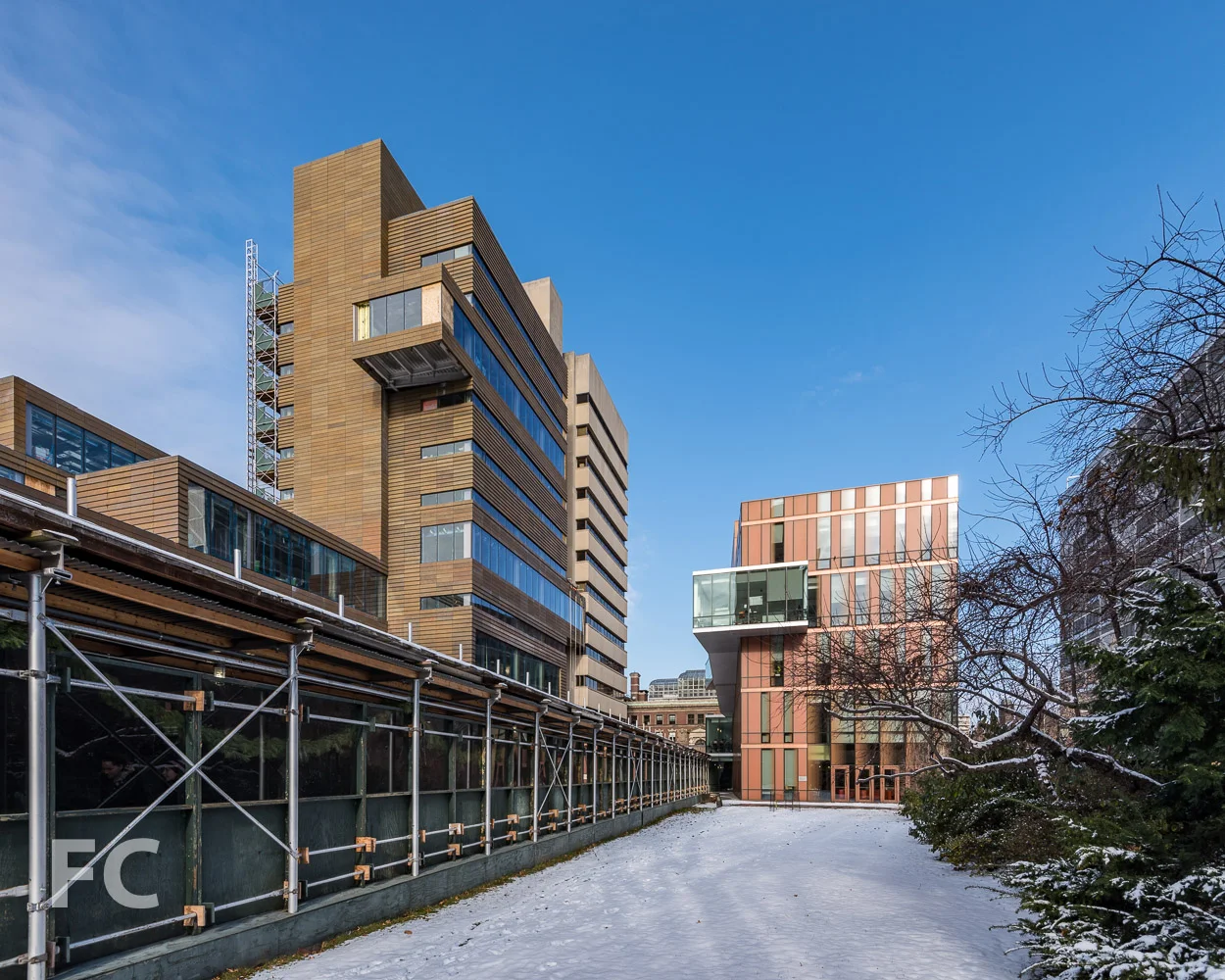 Southeast corner of The Milstein Center (center) and The Diana Center (right) from Lehman Lawn.