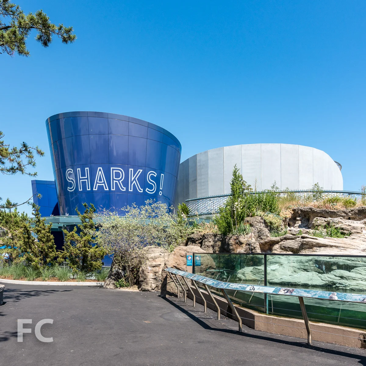 2018_07_05-NY Aquarium-DSC03467-2.jpg