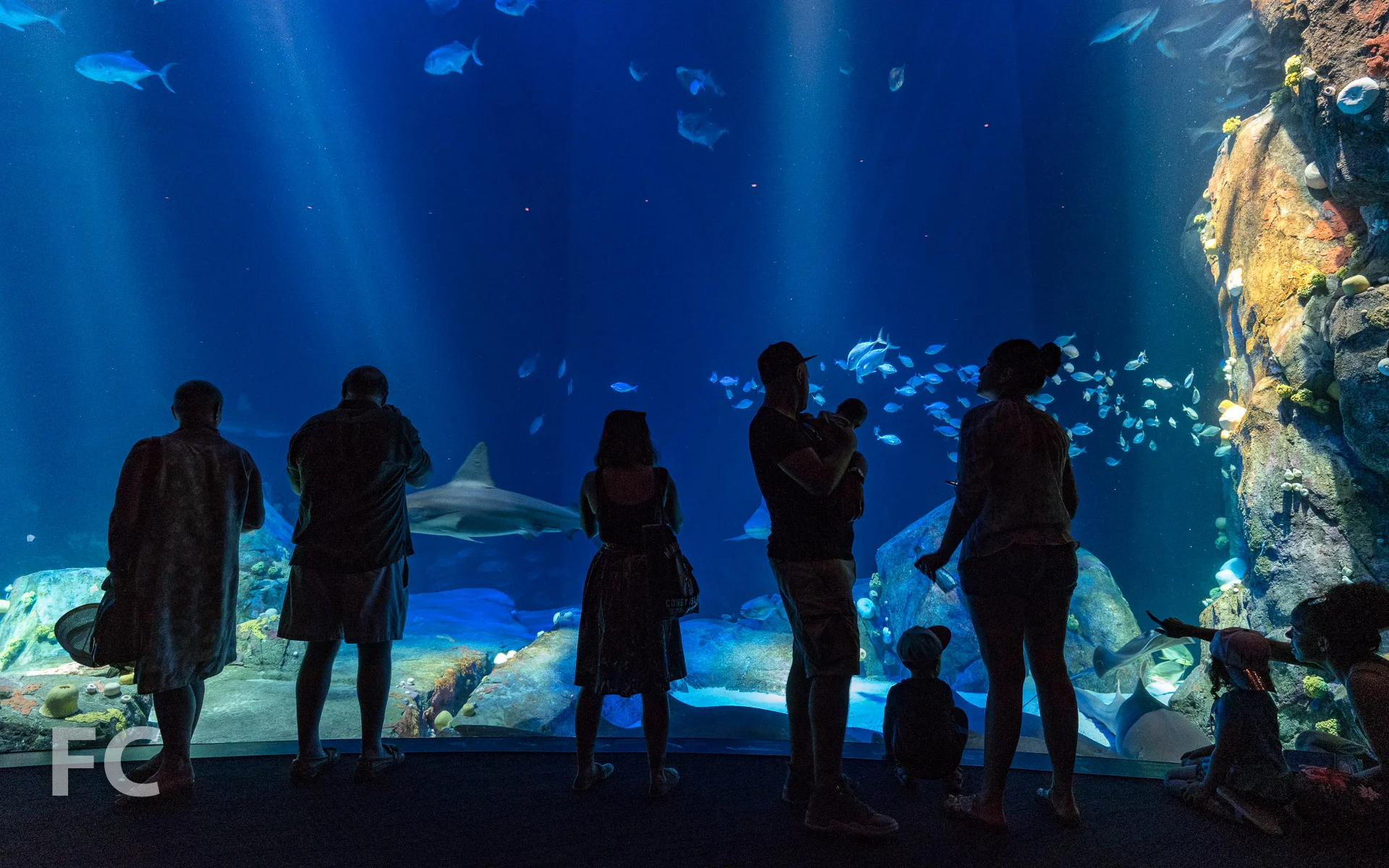 2018_07_05-NY Aquarium-DSC03503.jpg