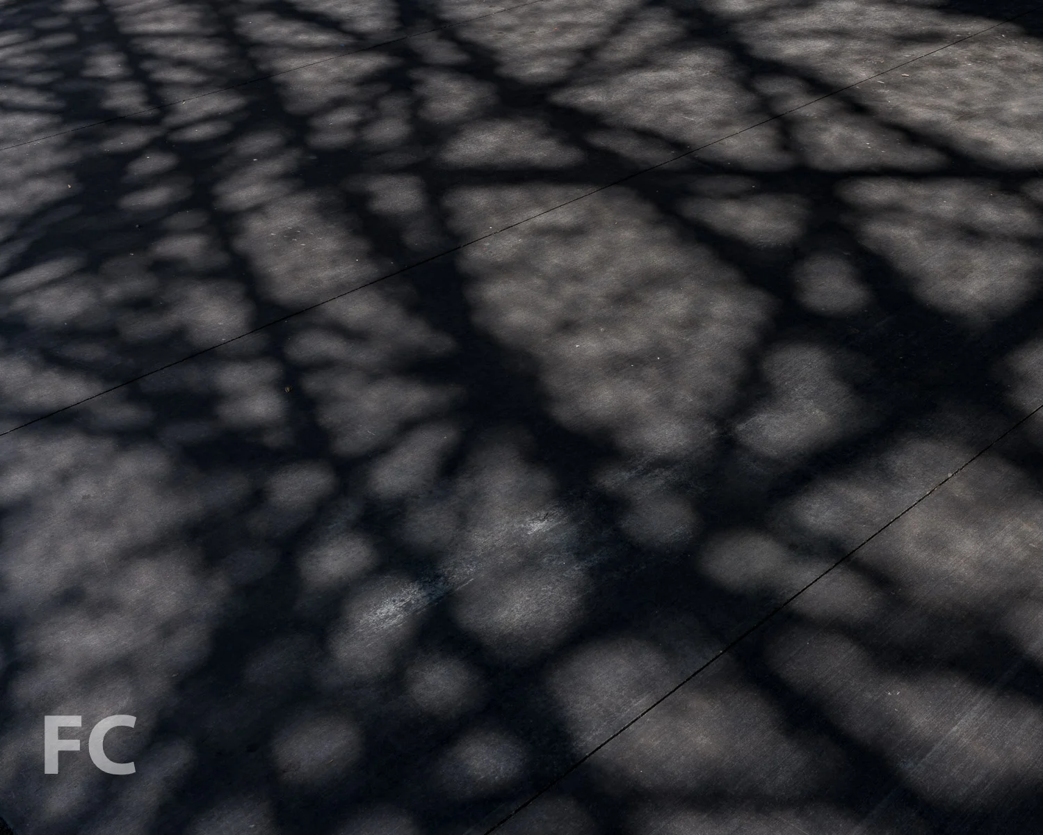 2018_08_16-Transbay Transit Center-DSC01274.jpg