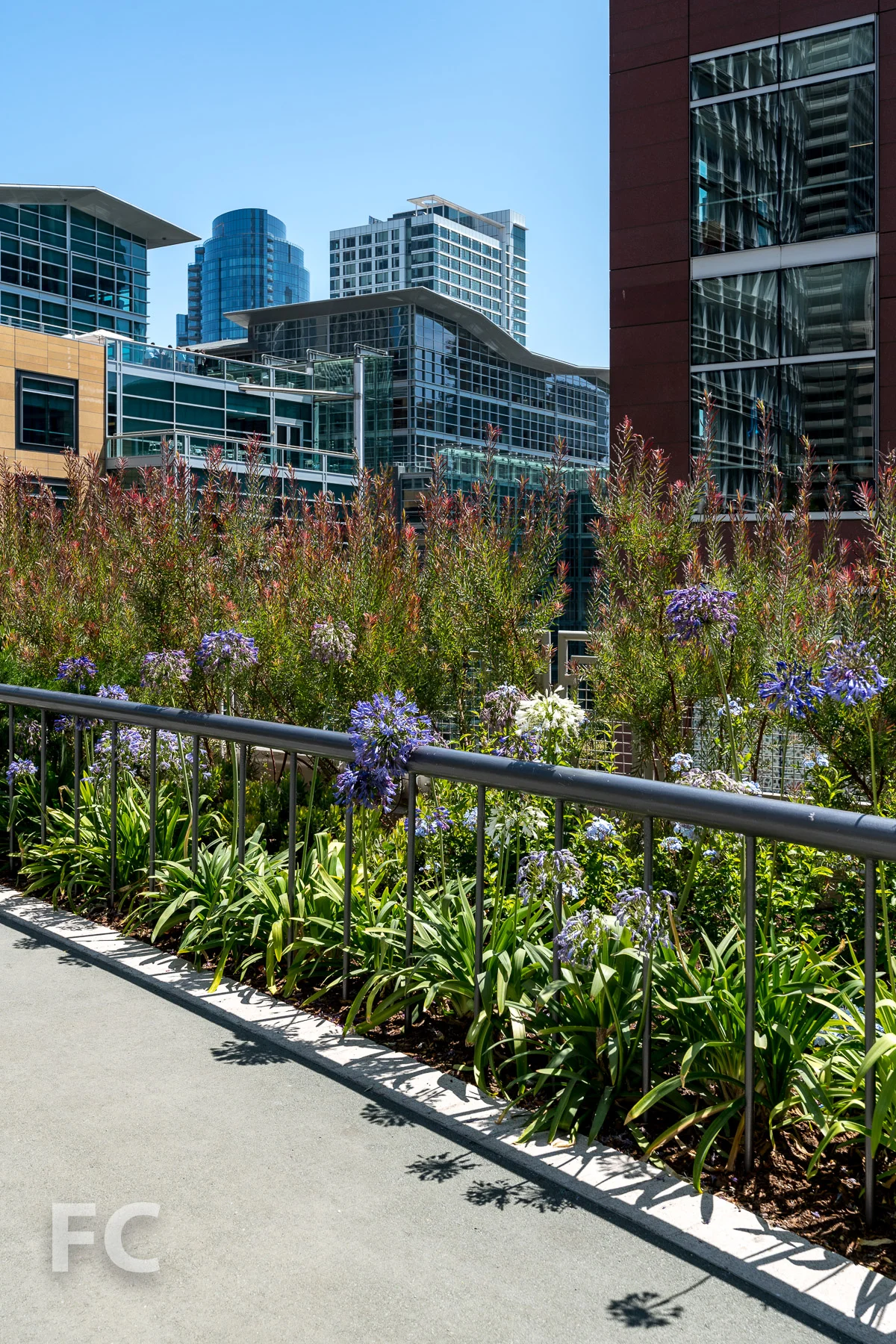 2018_08_16-Transbay Transit Center-DSC01373.jpg