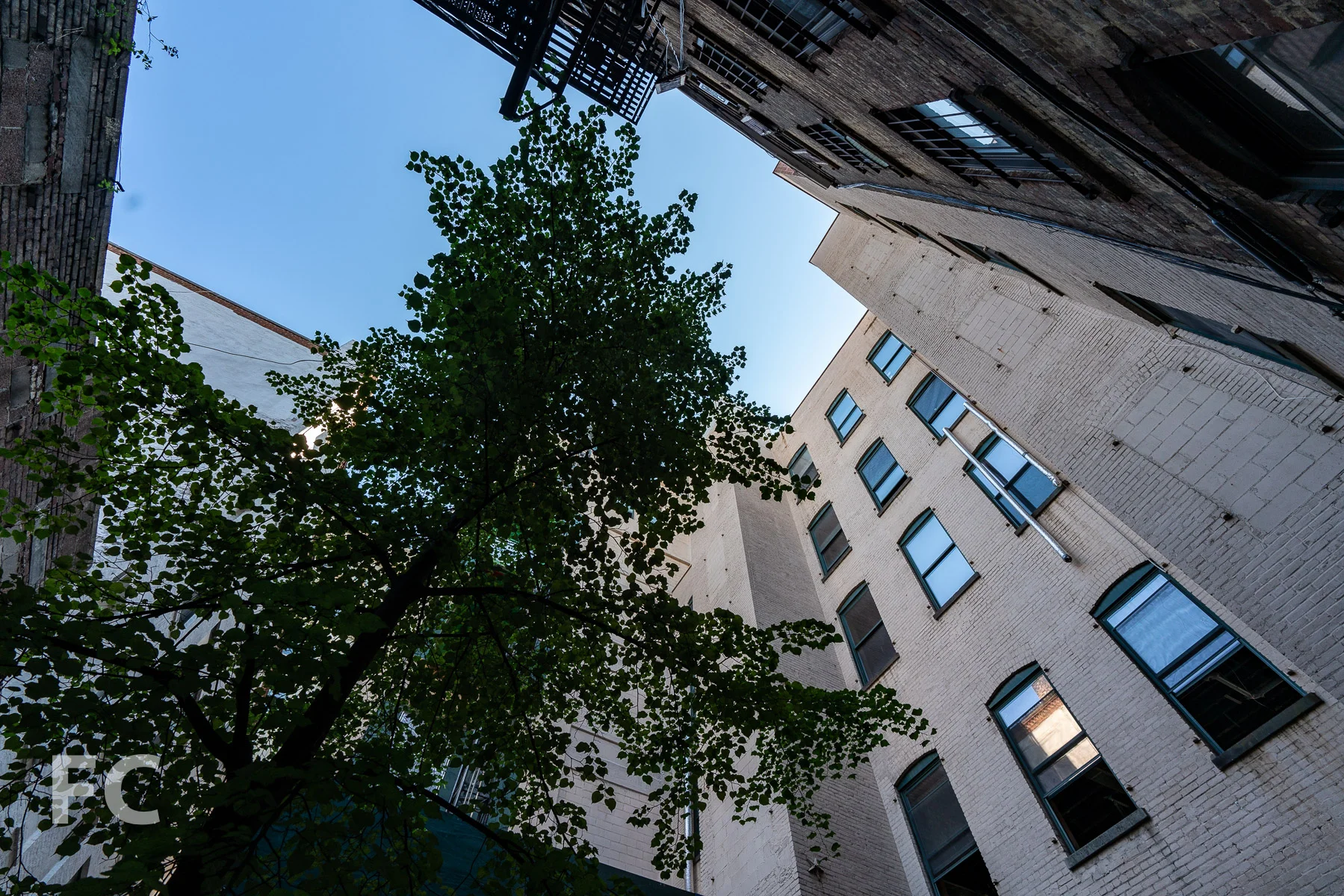 Looking up from the courtyard.