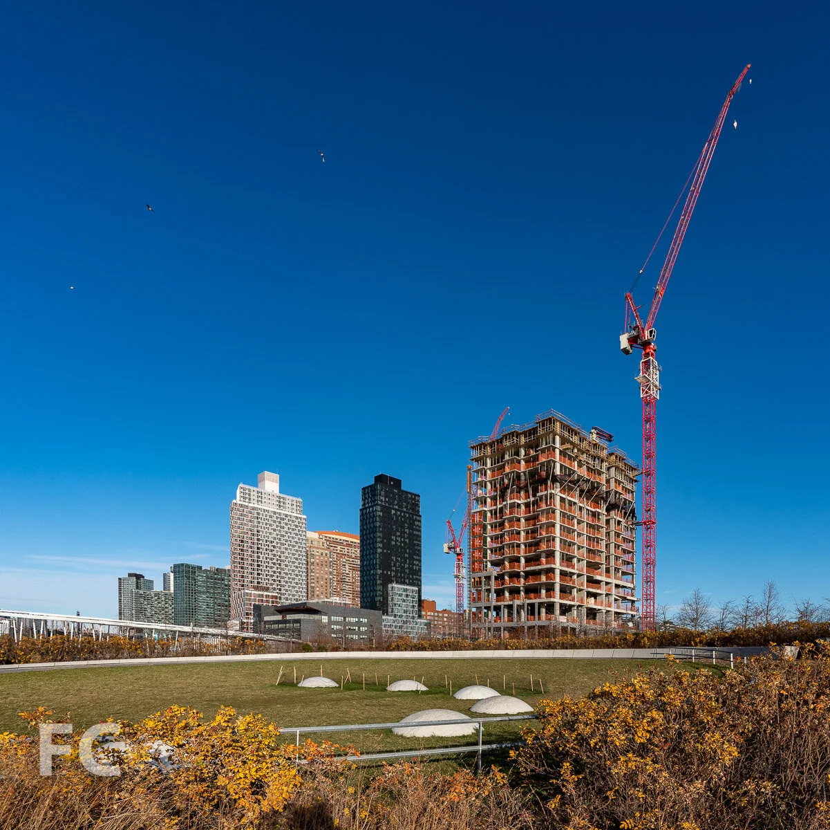 Construction Update Hunters Point South Parcel C — FIELD CONDITION