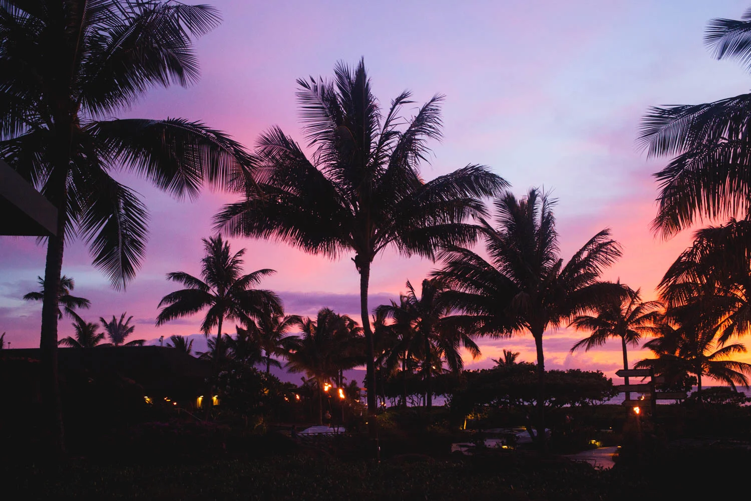 hawaii-summer-2015-lr-247.jpg