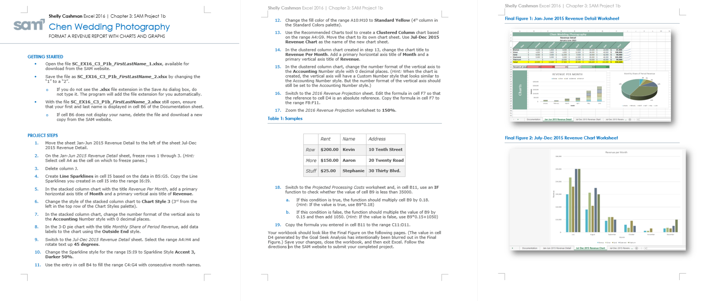 SAM 2016 Instructions File Template