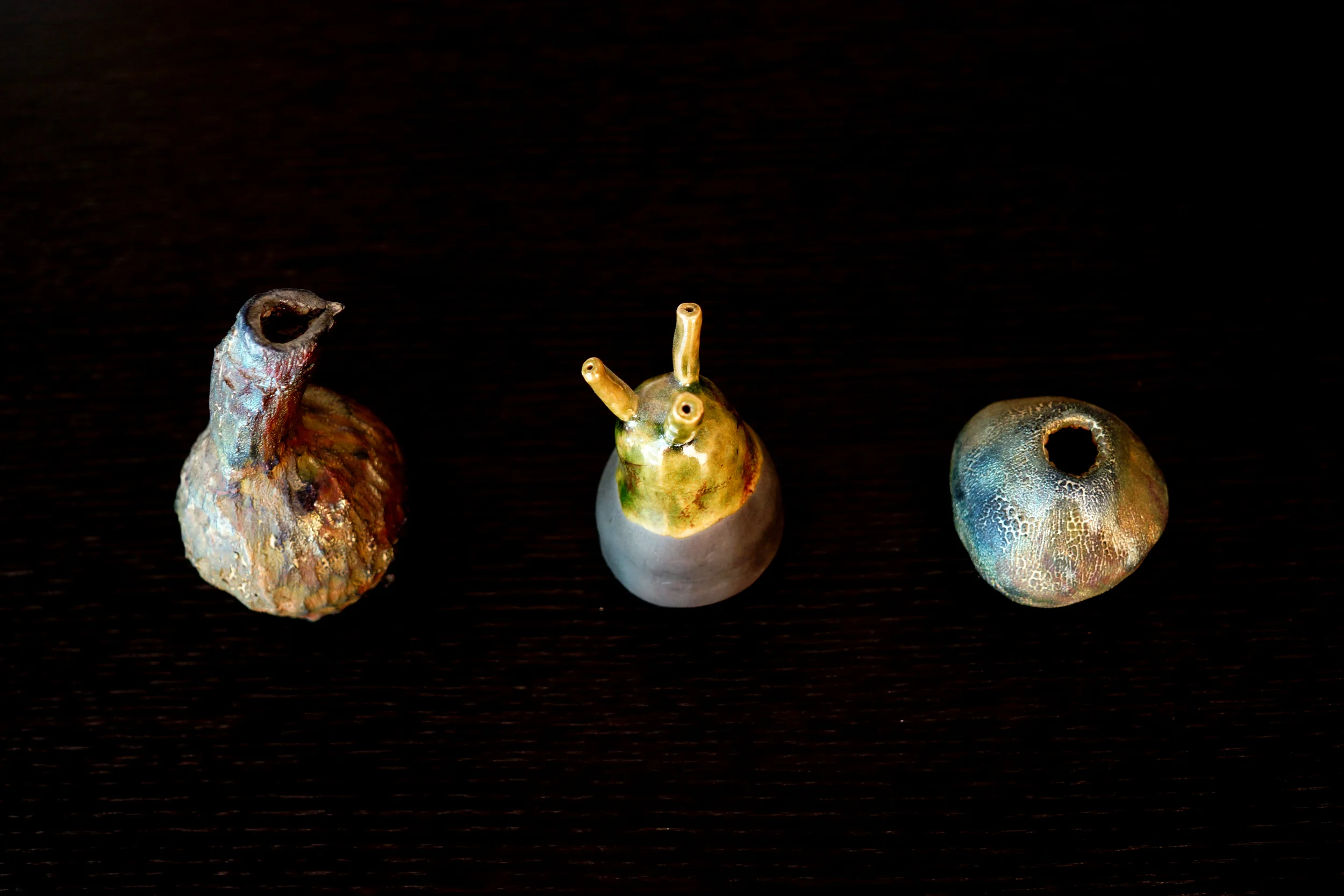 DSC03538_PS.jpg
