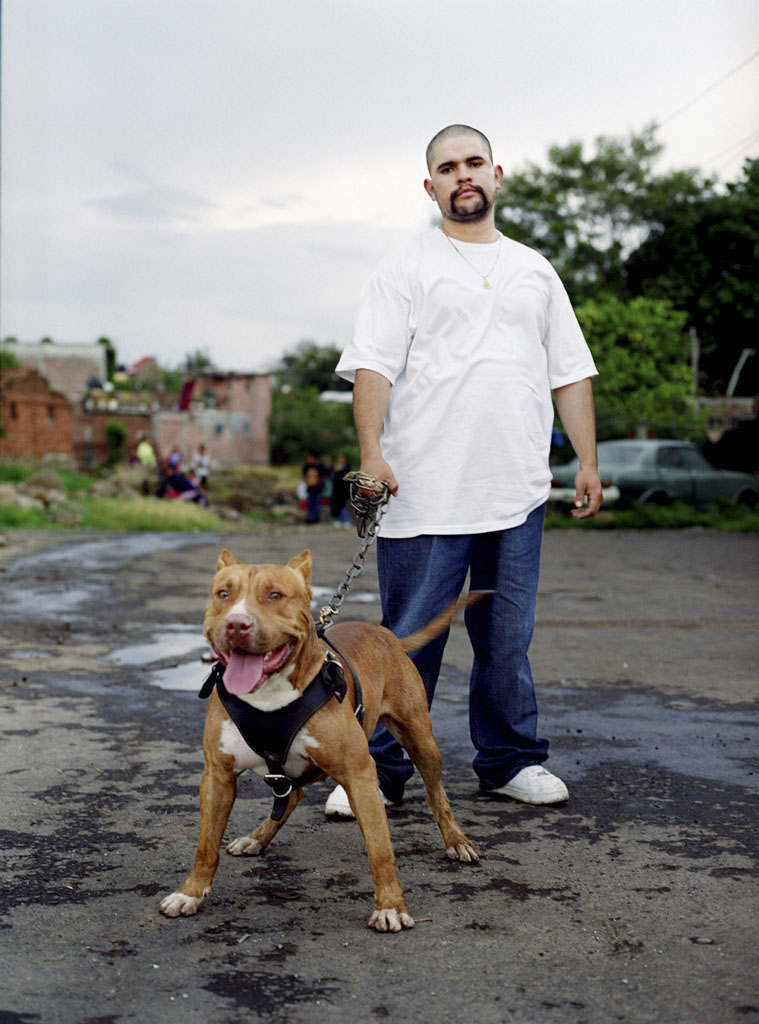 Pitbull-80.jpg