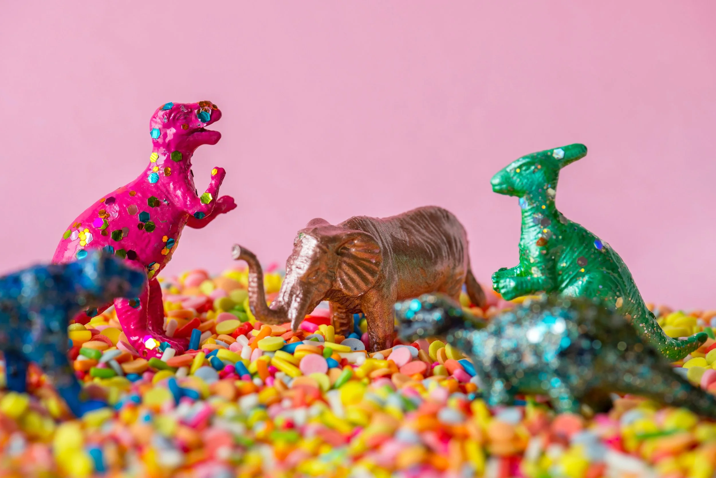animals-assorted-bright-1832643.jpg