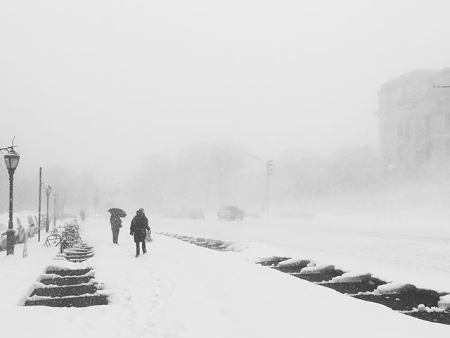 brooklyn bomb cyclone