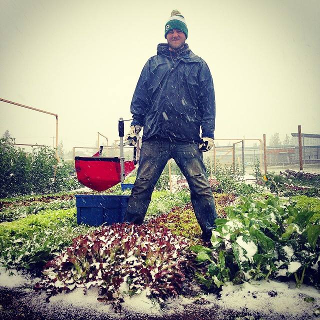 Photo Credit: Farmbox