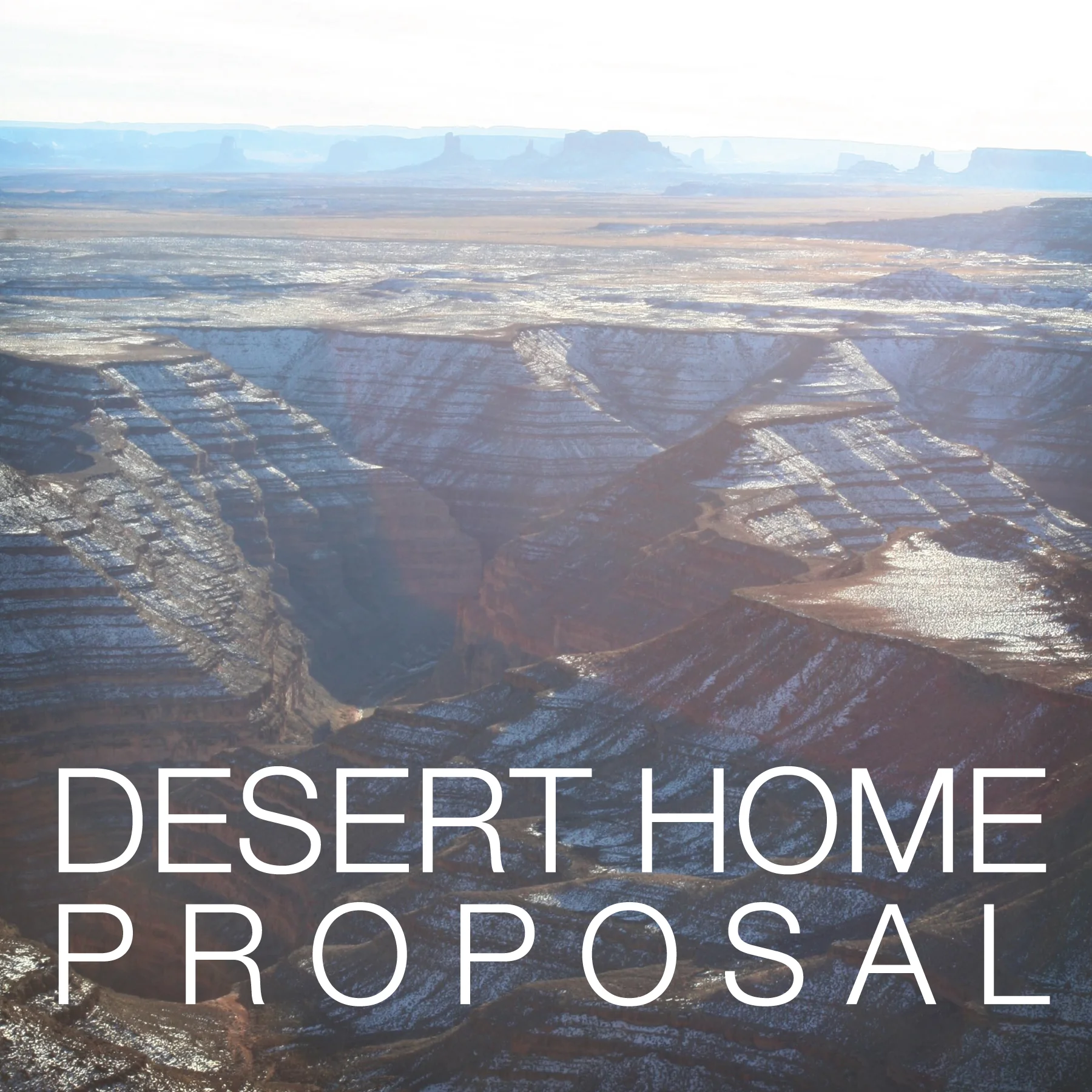 DESERT HOME ICON-01.jpg