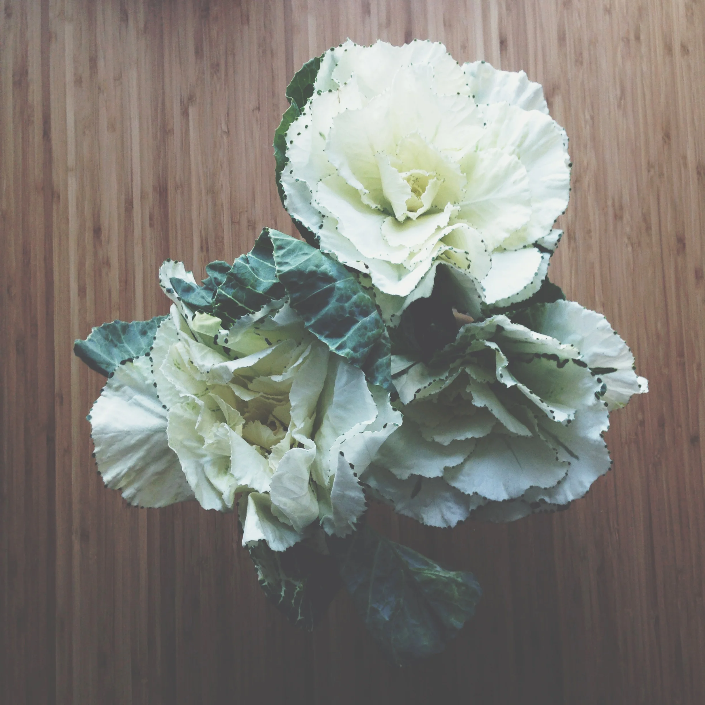 kale
