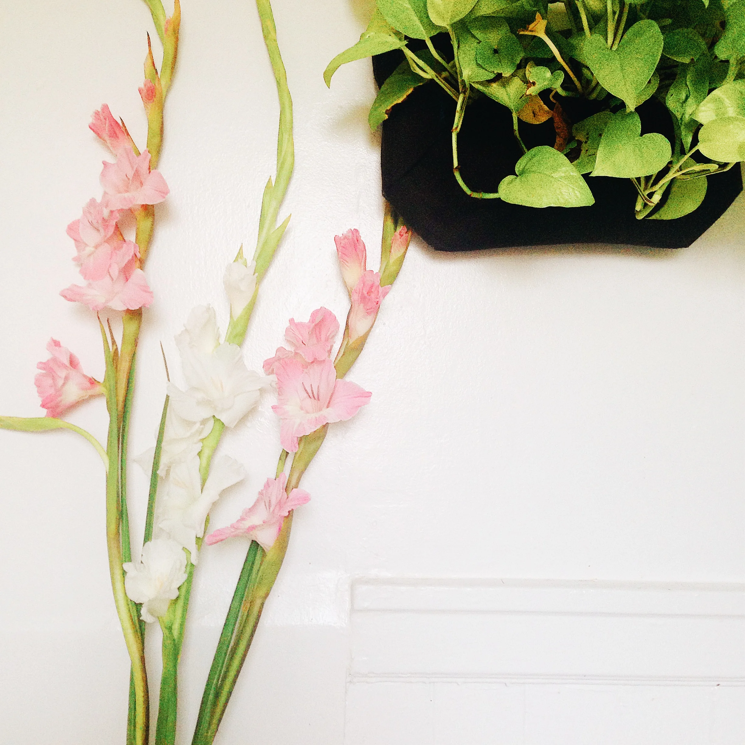 Flowers from the trash