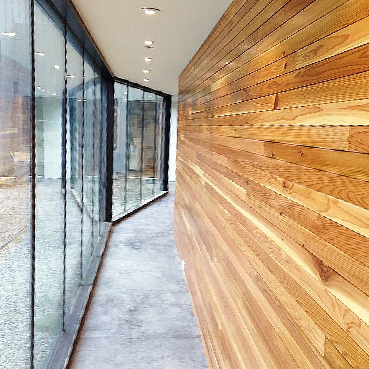  Images: from Sausagespace Instagram. View @sausagespace for more updates, email info@sausagespace.com 