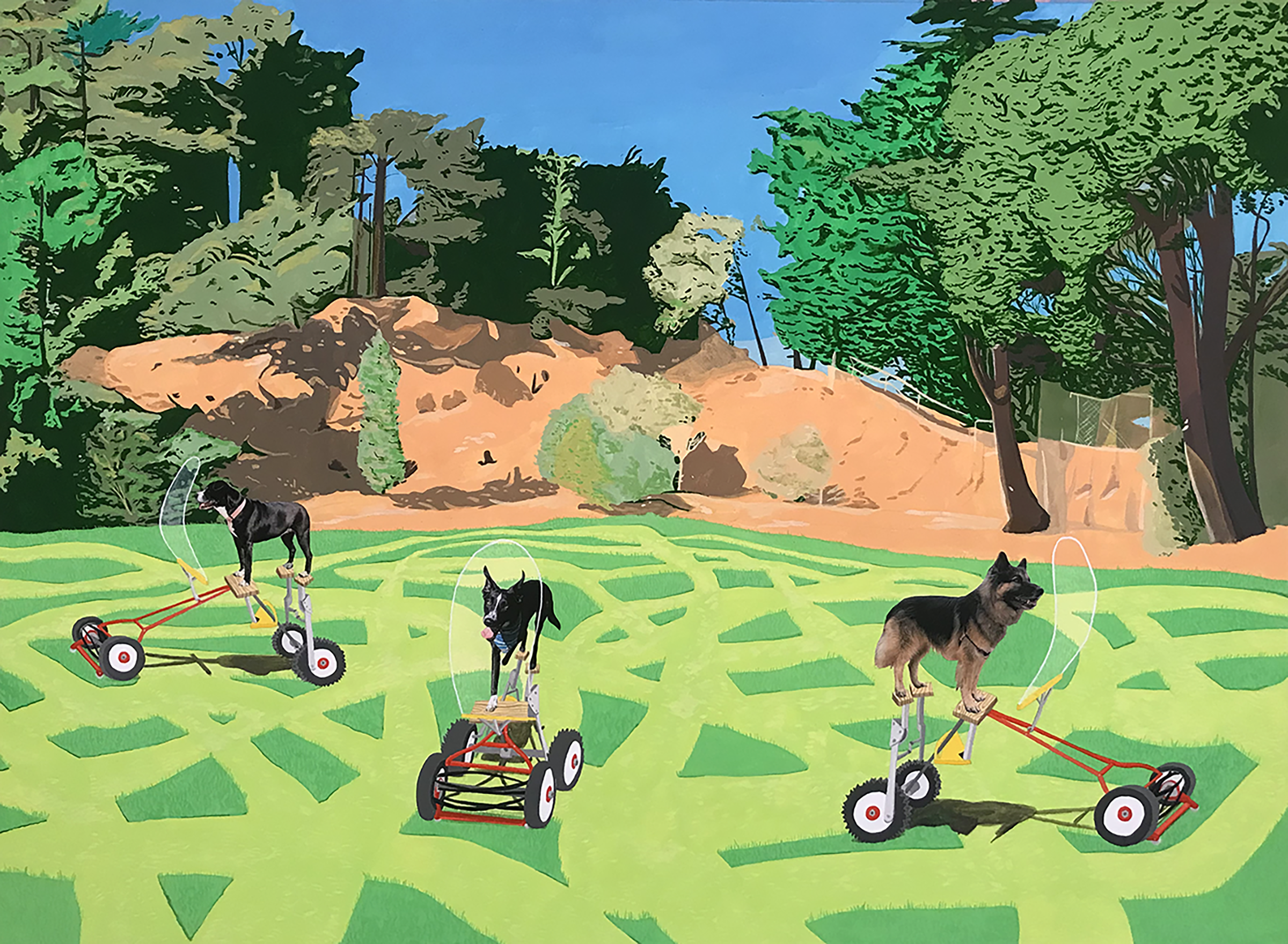 Landscaping Douglass