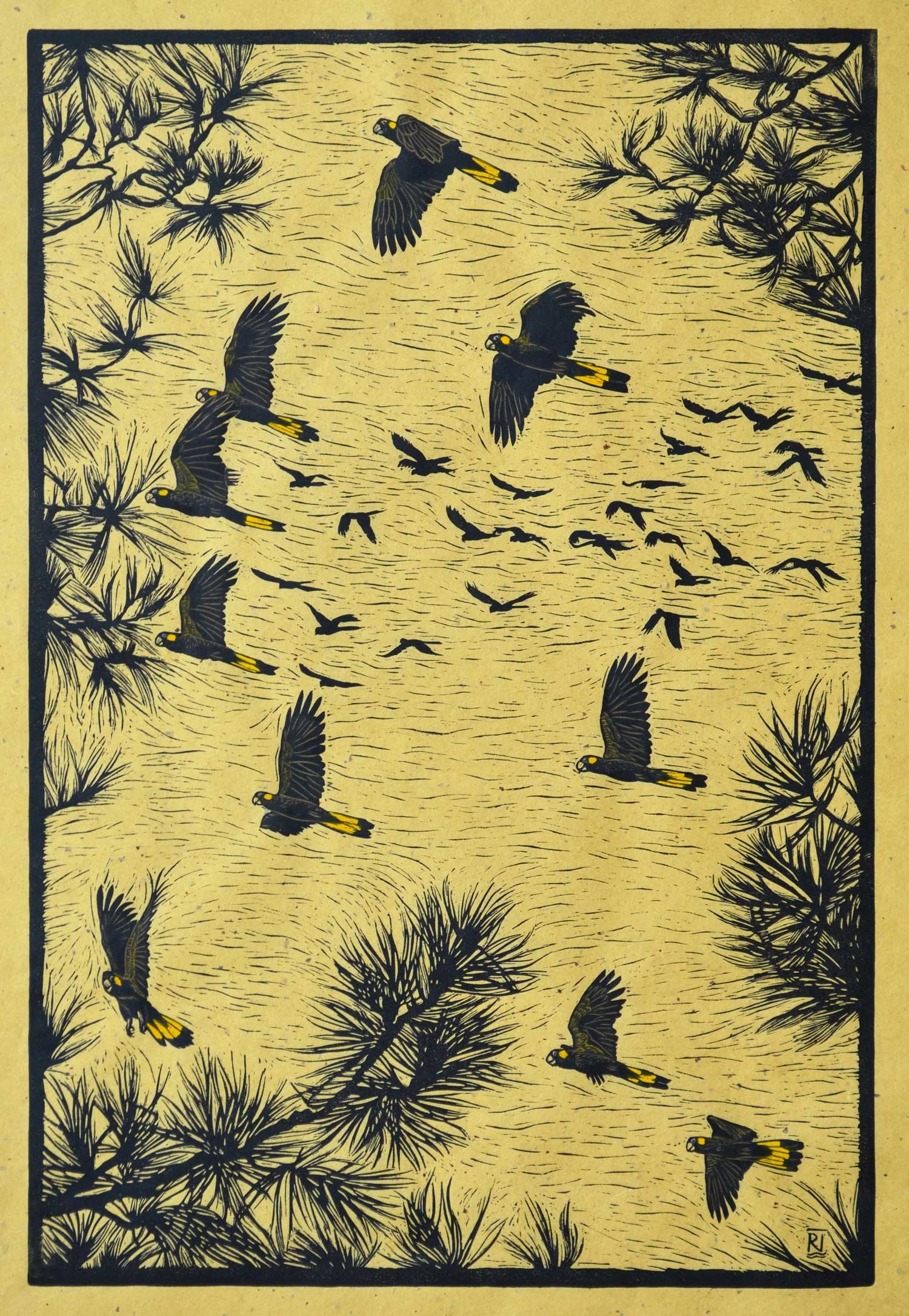 Yellow-tailed black cockatoos in flight 63 x 42 cm, Edition of 50 Hand-coloured linocut on handmade Japanese paper $1,100