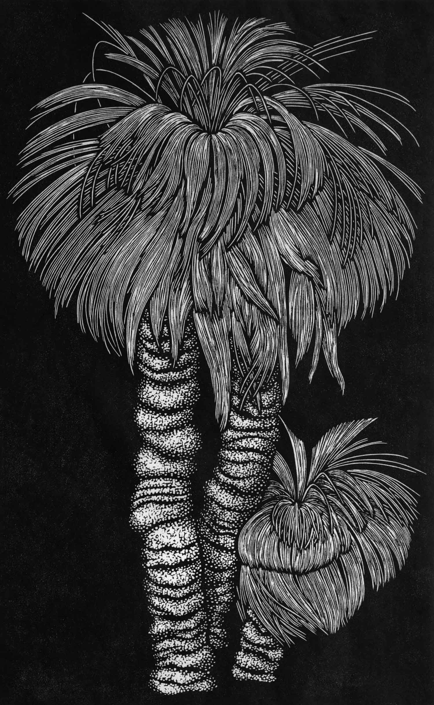 THREE GRASS TREES 69 X 43 CM EDITION OF 50 LINOCUT ON HANDMADE JAPANESE PAPER $1,250