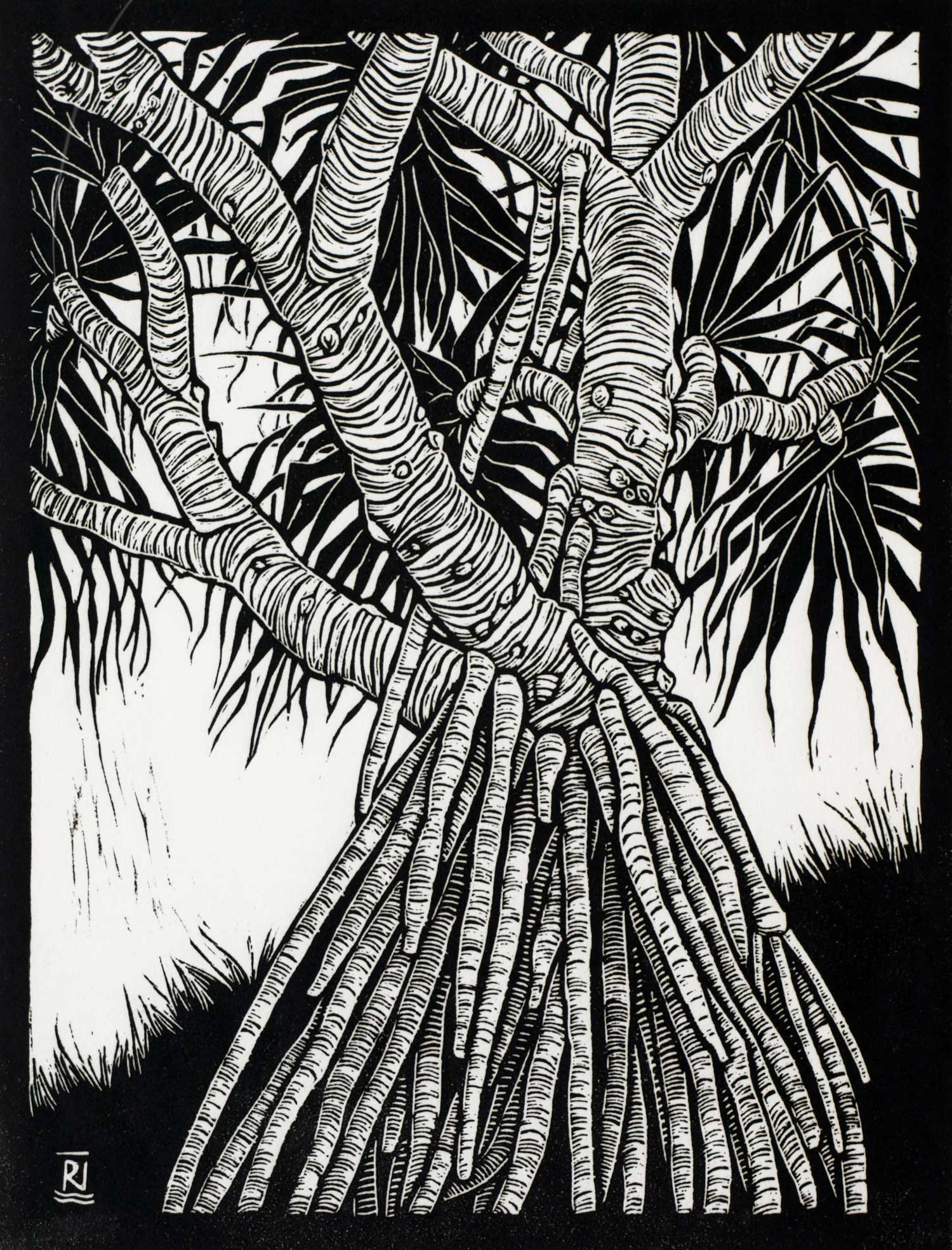 PANDANUS 29.5 X 22.5 CM EDITION OF 50 LINOCUT ON HANDMADE JAPANESE PAPER $500