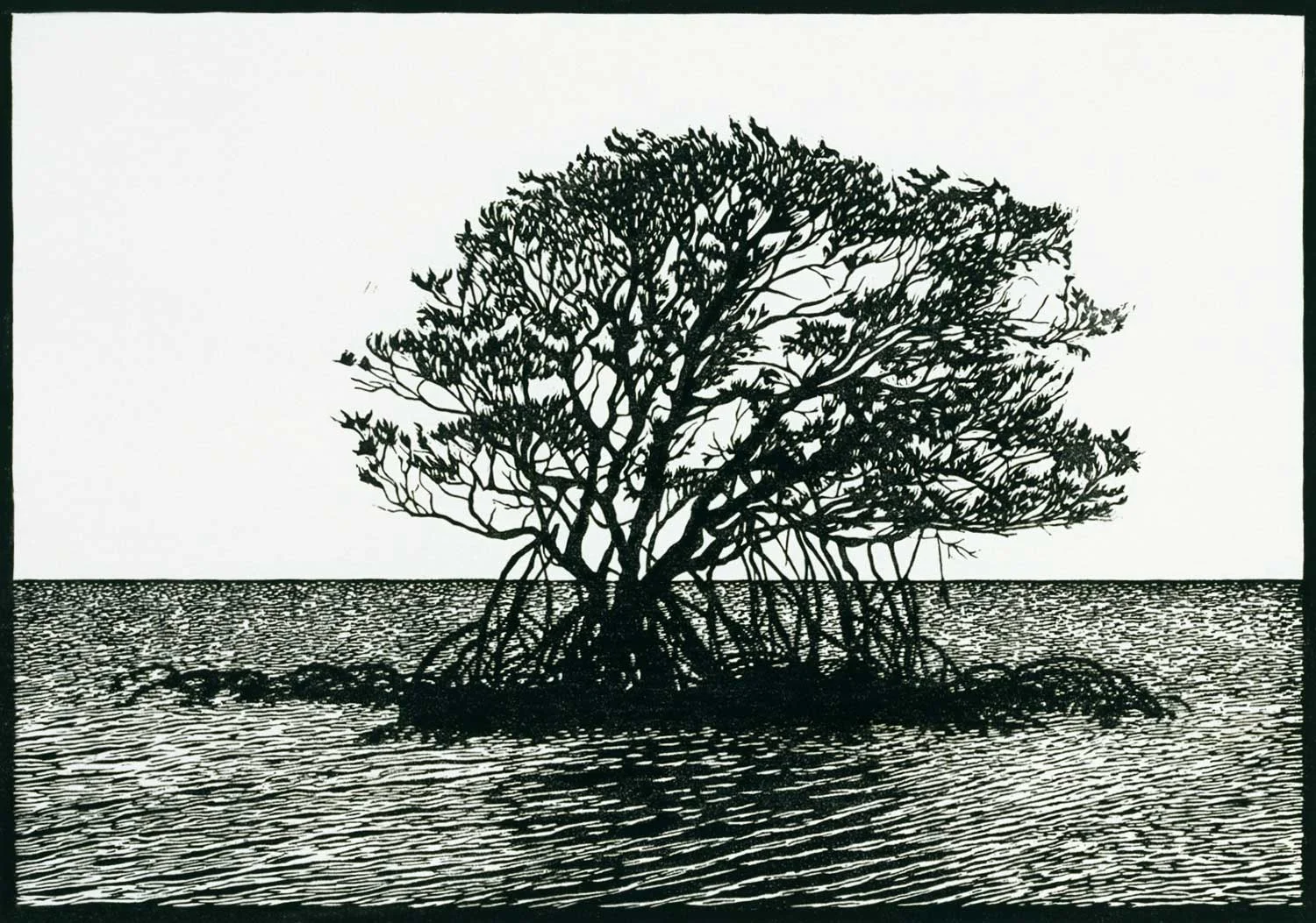 DESERTED BEACH BLOOMFIELD TRACK 36.5 X 51.5 CM EDITION OF 4 LINOCUT ON HANDMADE JAPANESE PAPER EDITION SOLD OUT