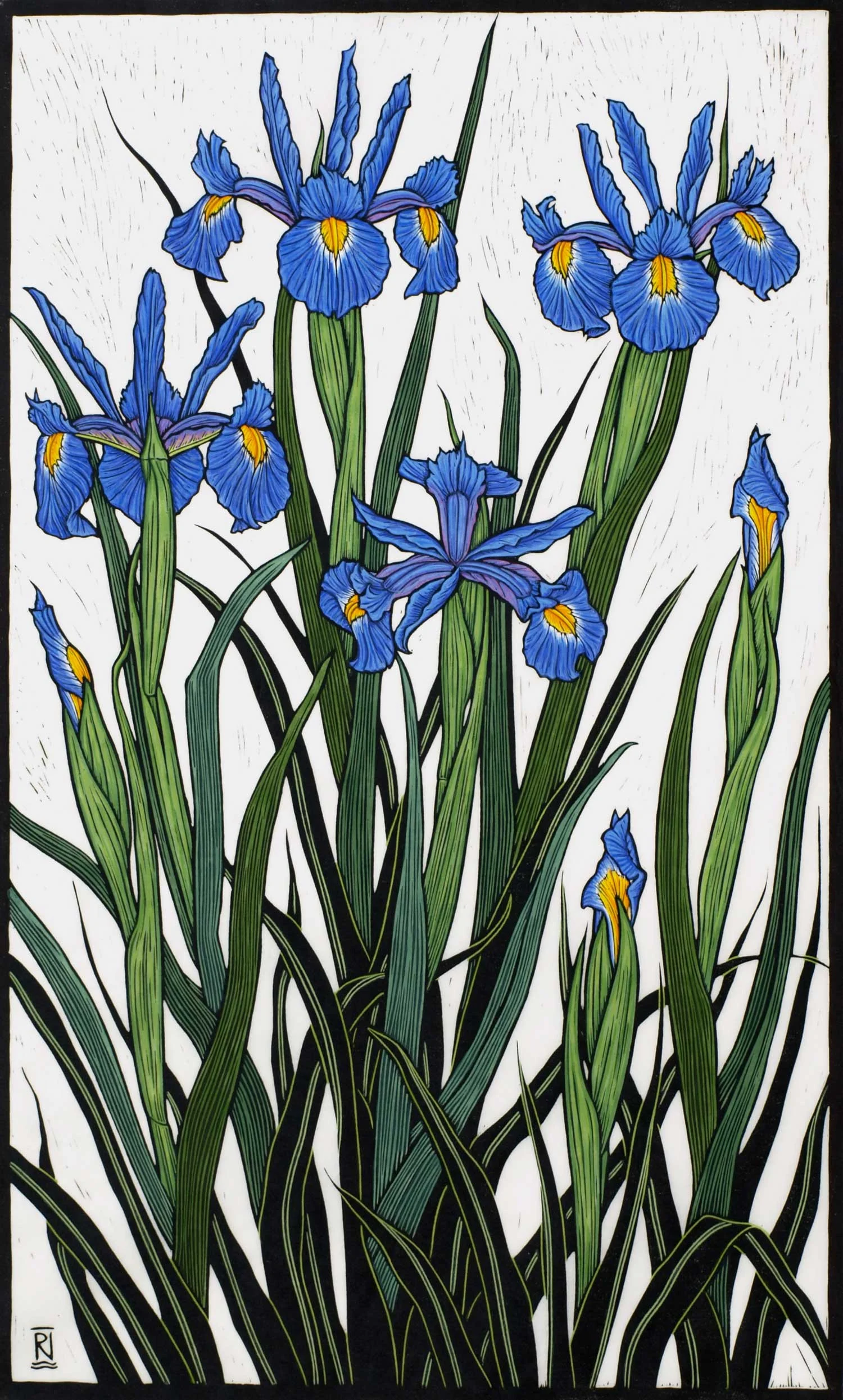 IRISES 82.5 X 49.5 CM EDITION OF 50 HAND COLOURED LINOCUT ON HANDMADE JAPANESE PAPER $1,550