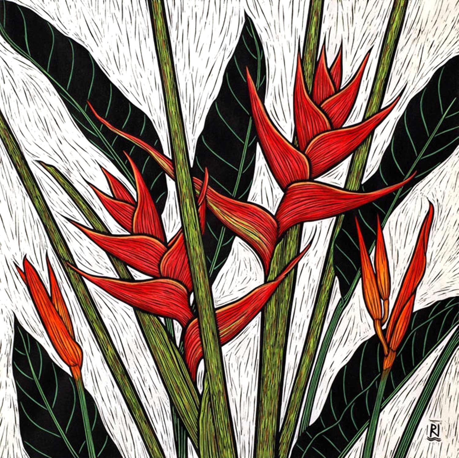 HELICONIA II 51 X 51 CM EDITION OF 50 HAND COLOURED LINOCUT ON HANDMADE JAPANESE PAPER $1,150