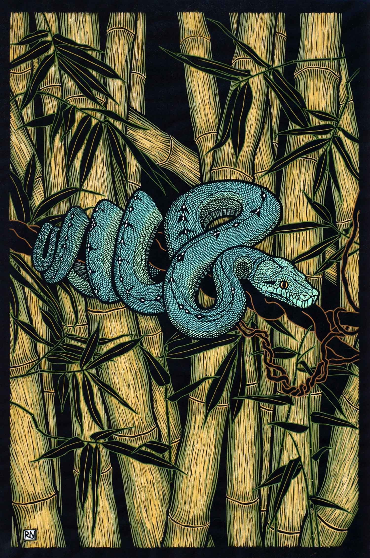 GREEN TREE PYTHON 76 X 50.5 CM EDITION OF 50 HAND COLOURED LINOCUT ON HANDMADE JAPANESE PAPER $1,550
