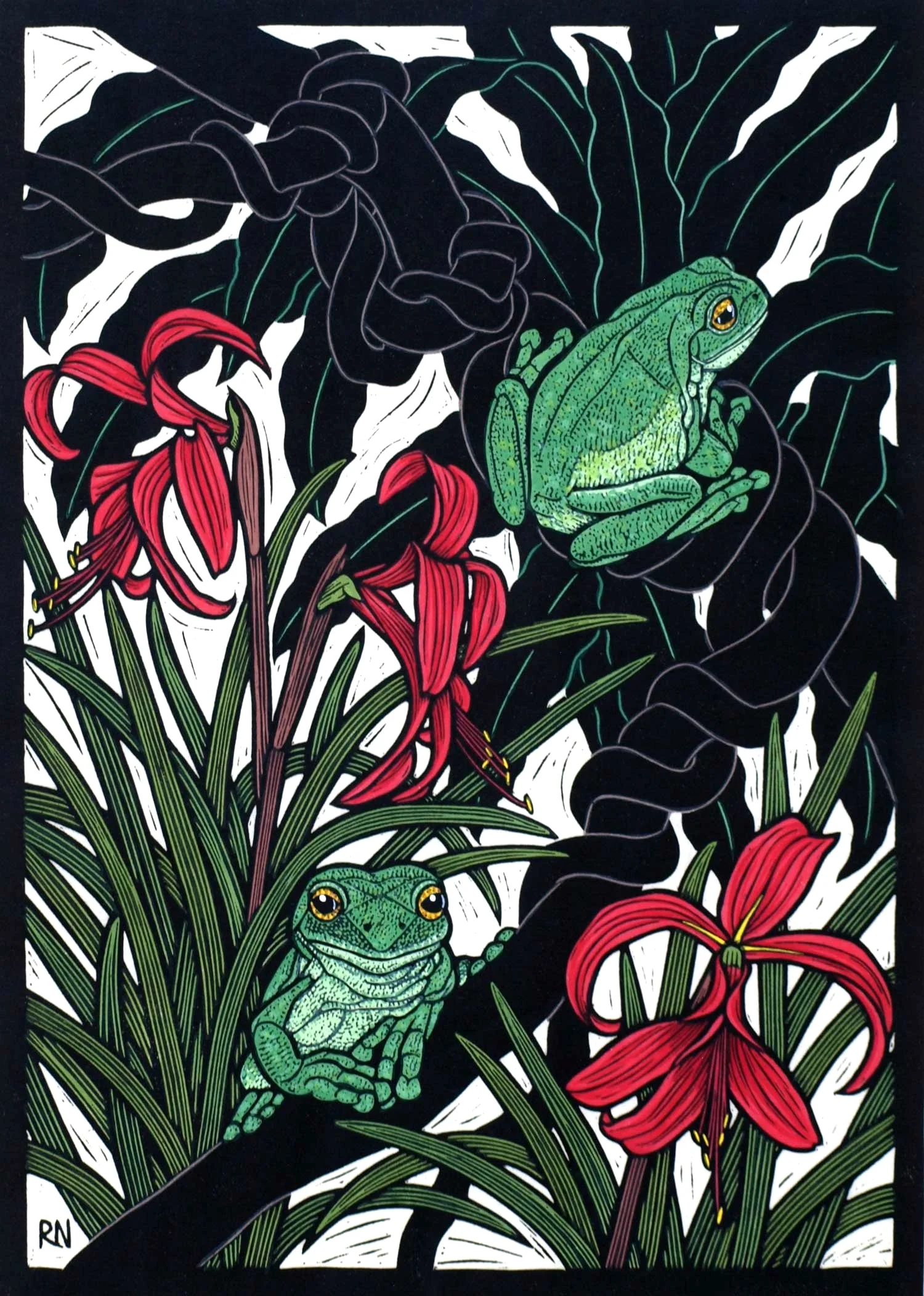 GREEN TREE FROG 49 X 35 CM EDITION OF 50 HAND COLOURED LINOCUT ON HANDMADE JAPANESE PAPER $1,100