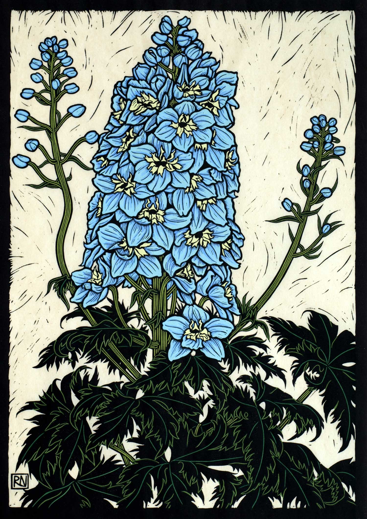 DELPHINIUM 49 X 35 CM EDITION OF 50 HAND COLOURED LINOCUT ON HANDMADE JAPANESE PAPER $1,050
