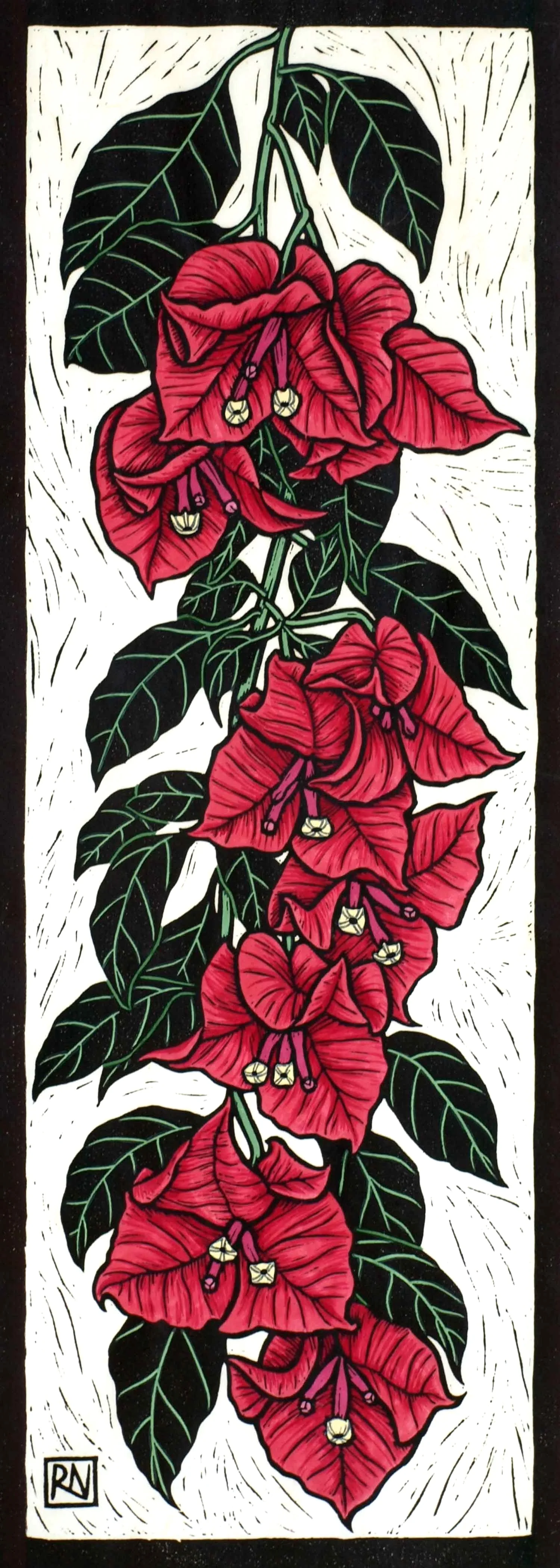BOUGAINVILLEA 50 X 18 CM EDITION OF 50 HAND COLOURED LINOCUT ON HANDMADE JAPANESE PAPER $650