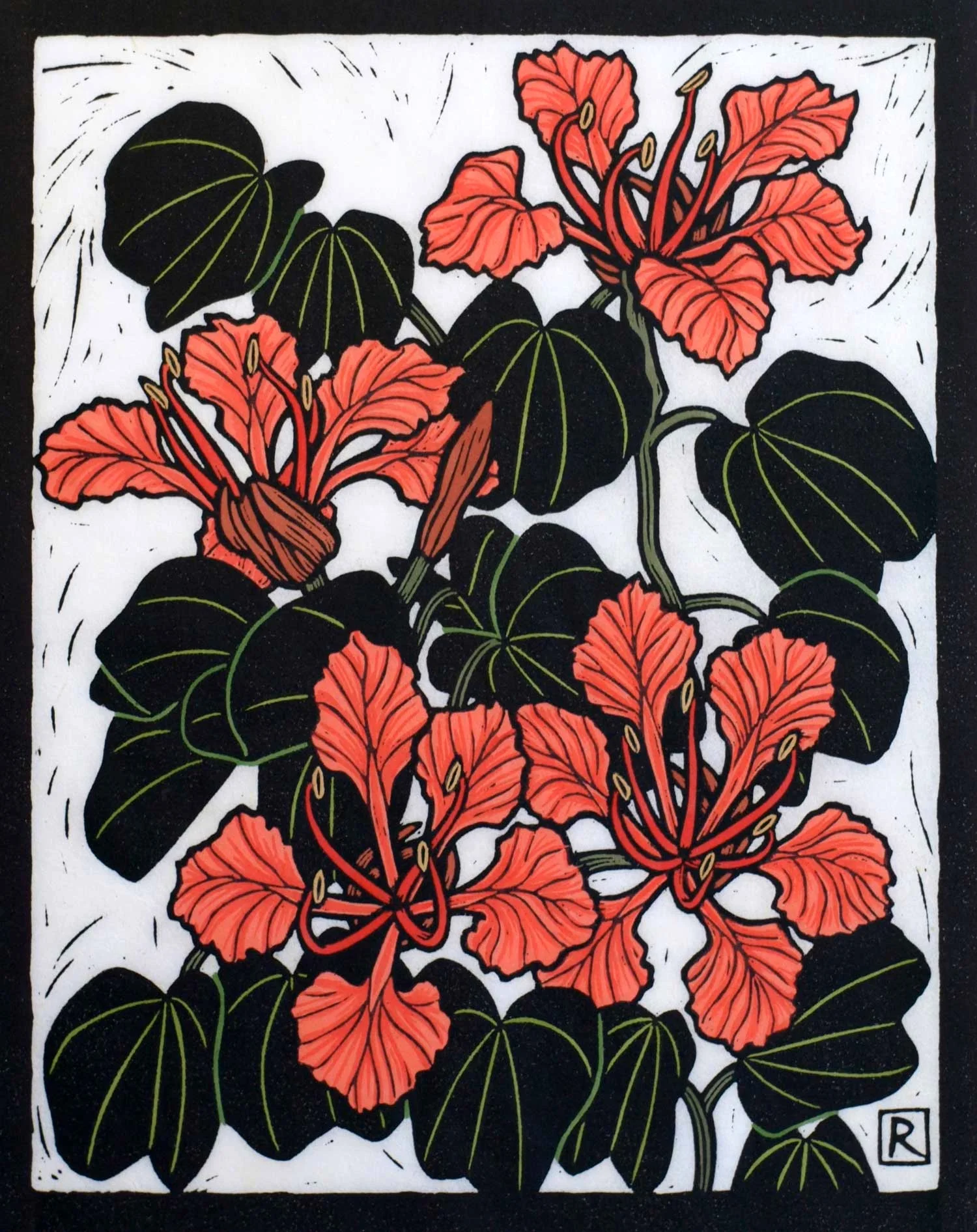 BAUHINIA 28 X 22 CM EDITION OF 50 HAND COLOURED LINOCUT ON HANDMADE JAPANESE PAPER $650