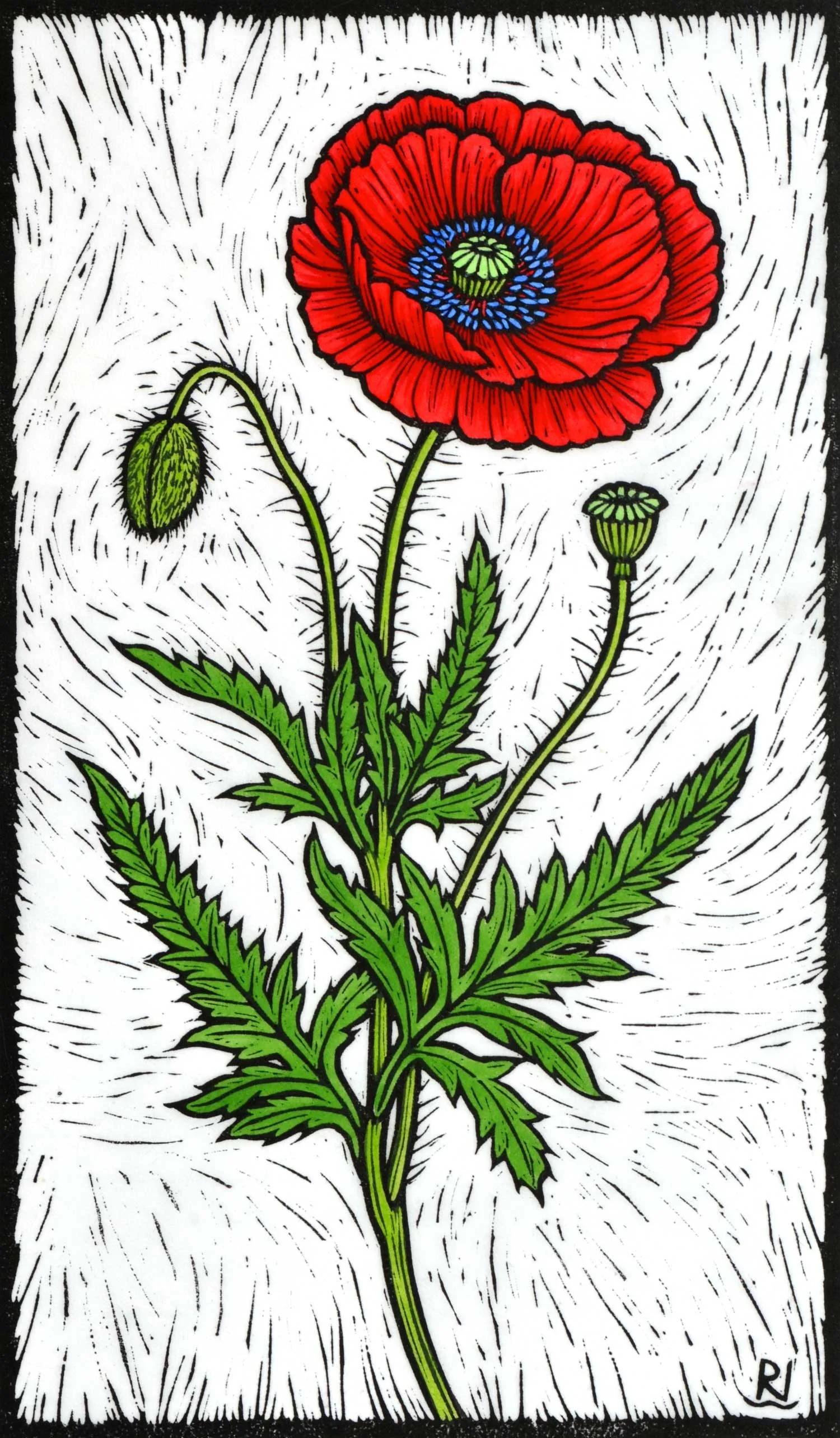 Flanders Poppy 33 x 19 cm Edition of 50 Hand Coloured Linocut on Handmade Japanese paper $450
