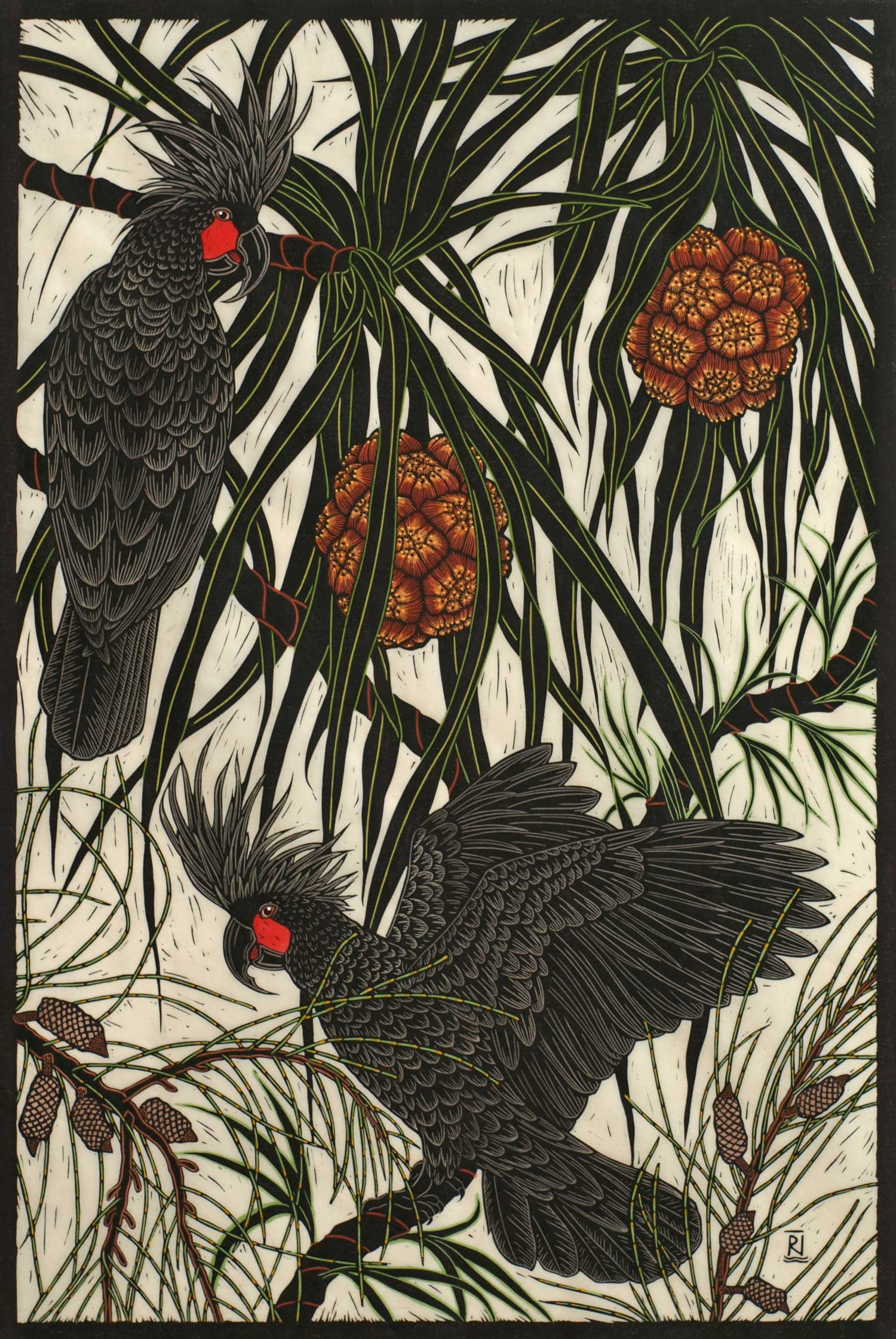 palm-cockatoo-linocut-rachel-newling.jpg