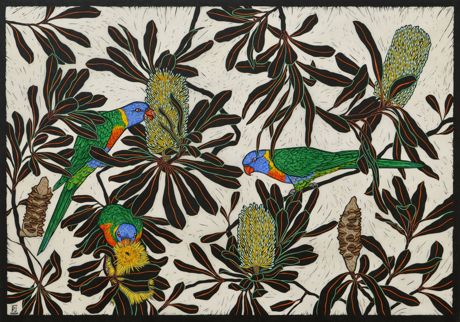 rainbow-lorikeet-linocut-rachel-newling.jpg