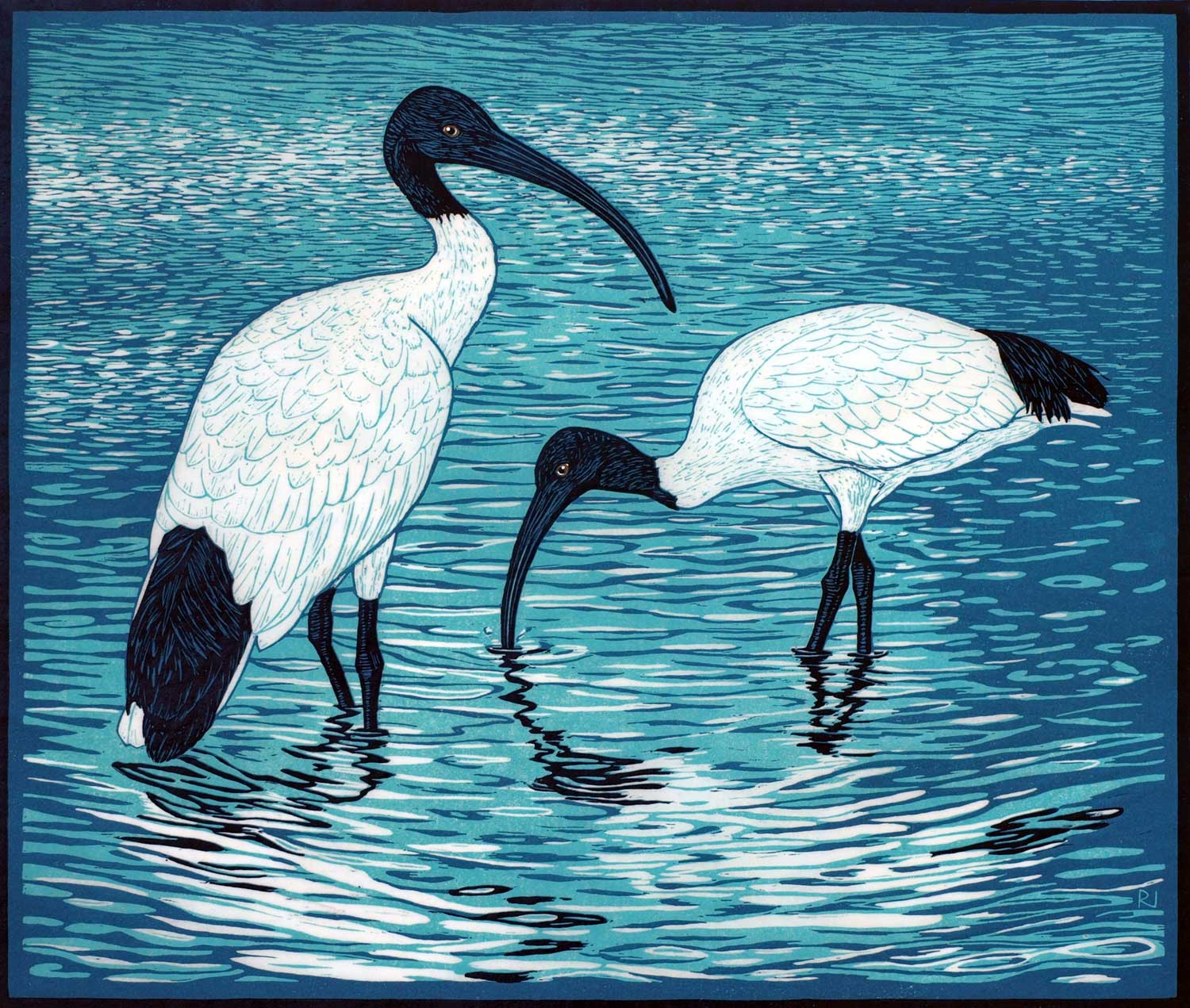 sacred-ibis-linocut-rachel-newling.jpg