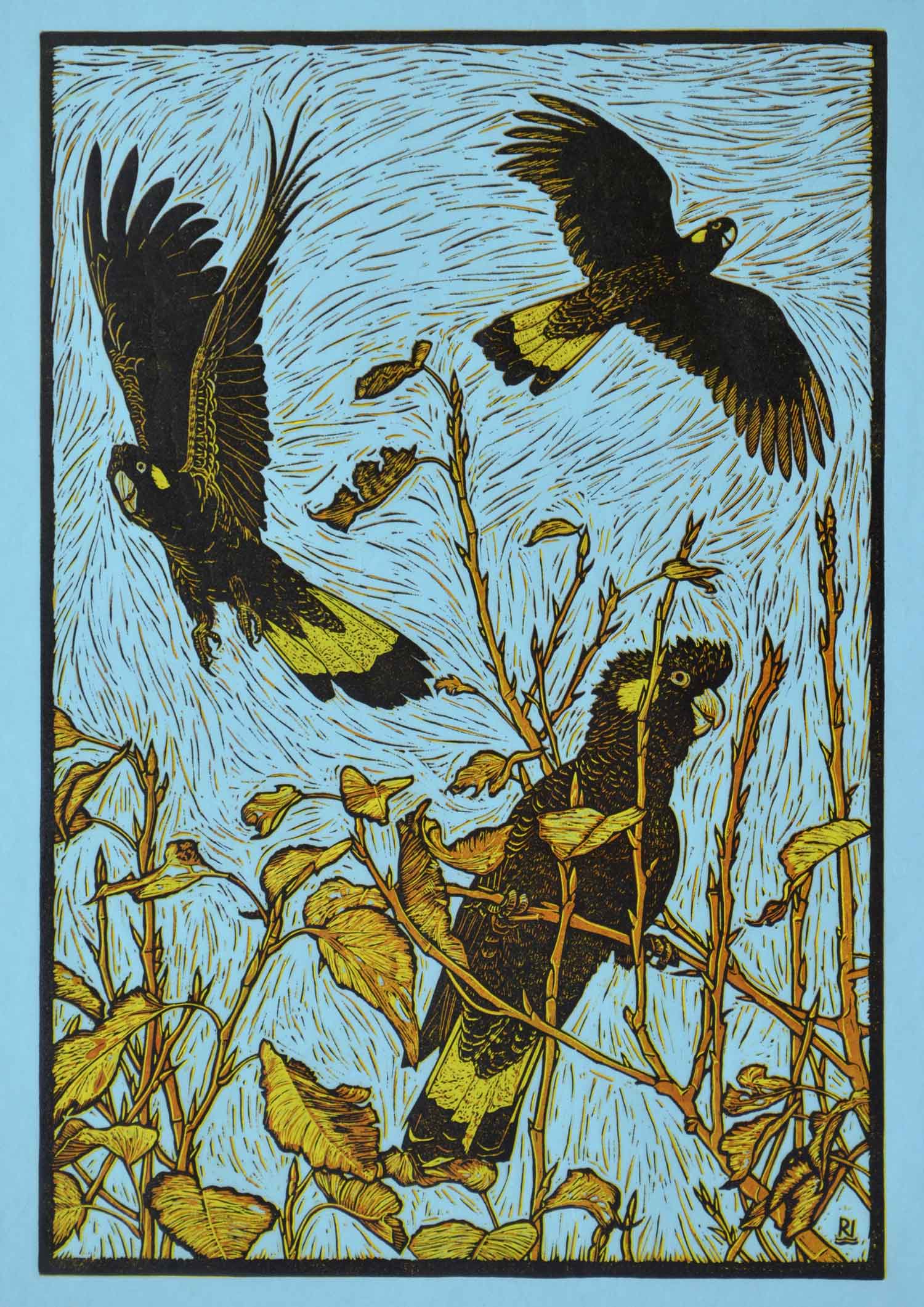 three-yellow-tailed-black-cockatoos-reduction-linocut-rachel-newling.jpg