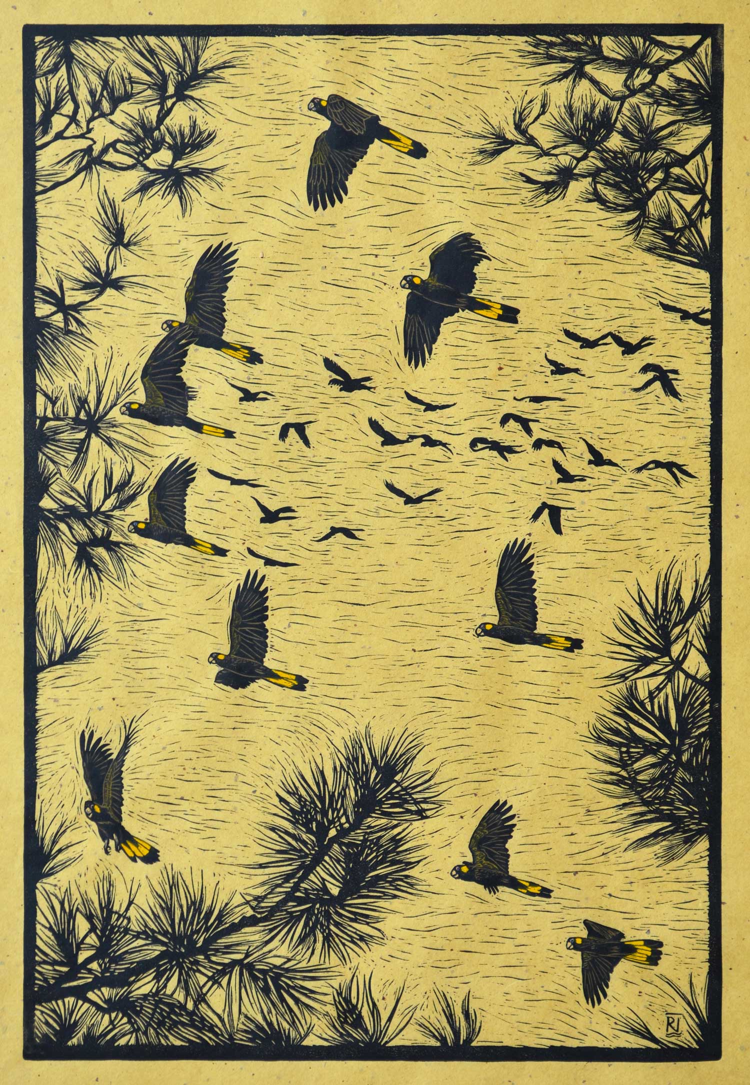 yellow-tailed-black-cockatoos-in-flight-linocut-rachel-newling.jpg