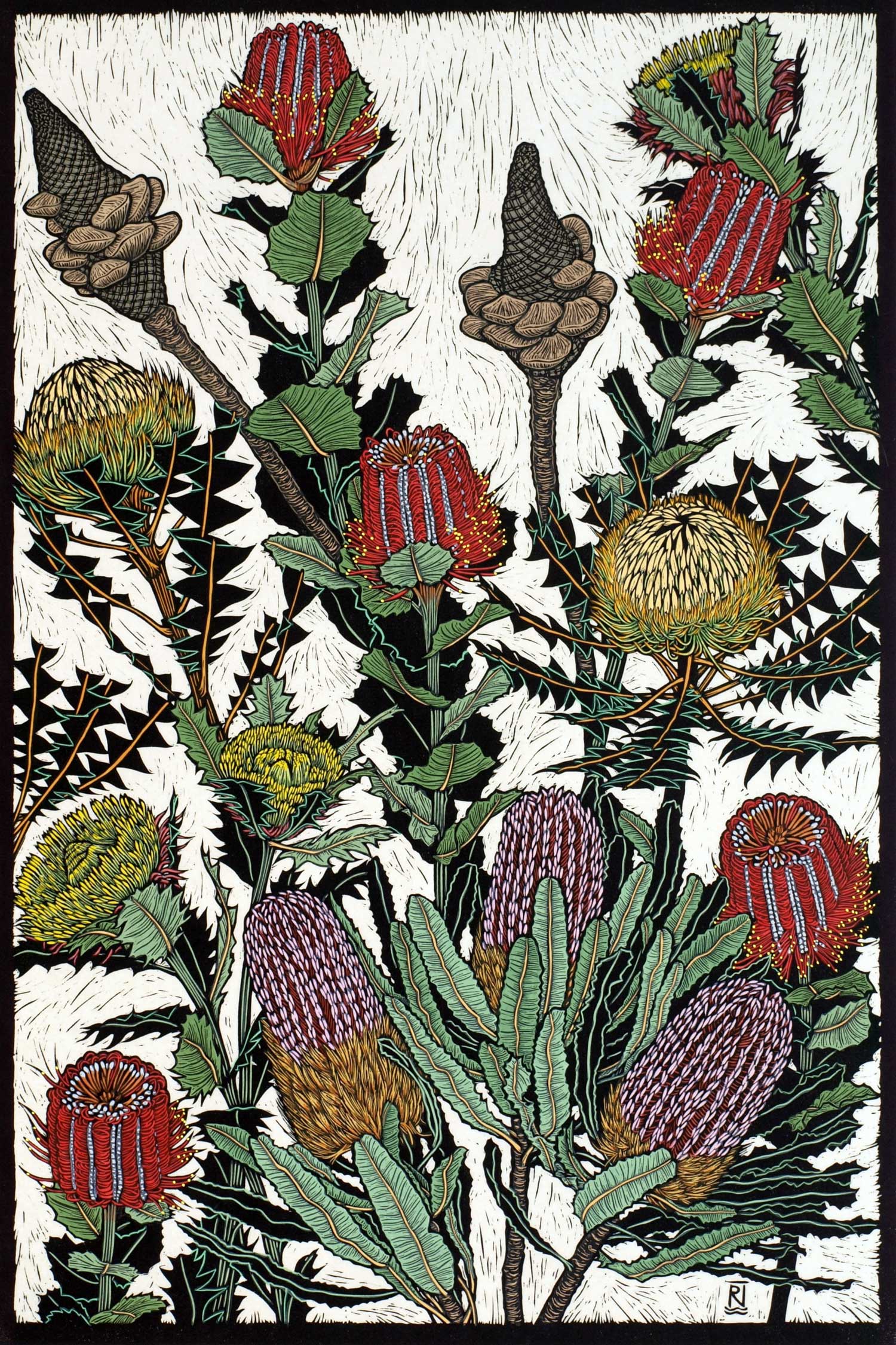 banksias-dryandra-linocut-rachel-newling.jpg