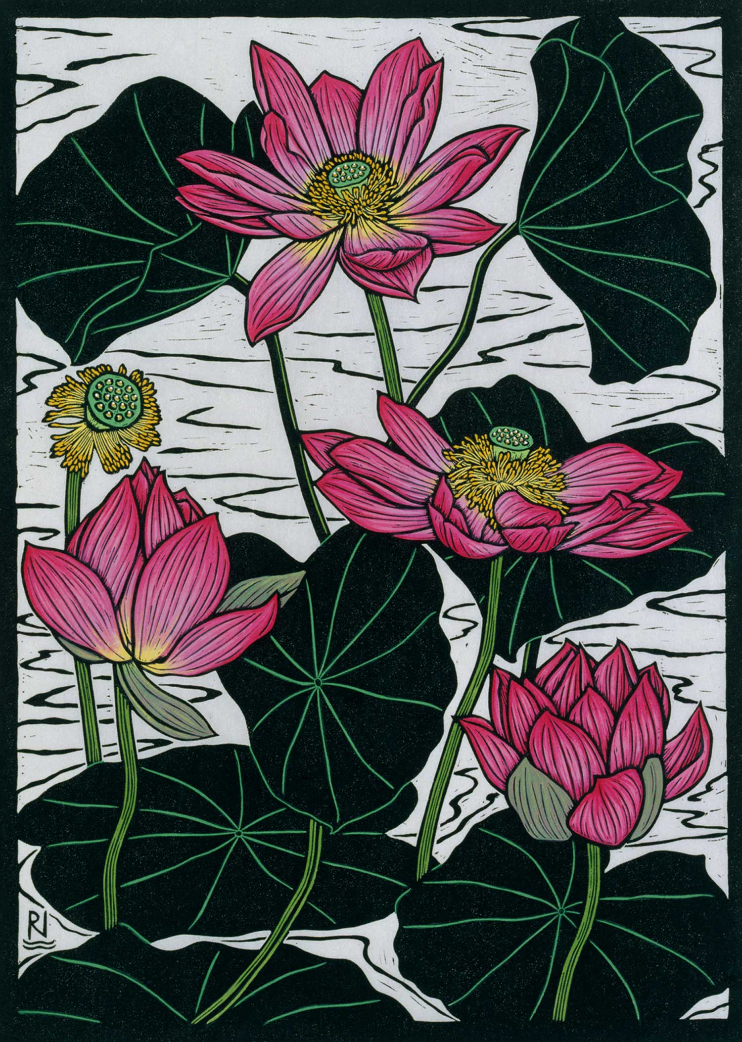 sacred-lotus-linocut-rachel-newling.jpg